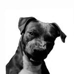 Go to Mpho Maponyane's profile