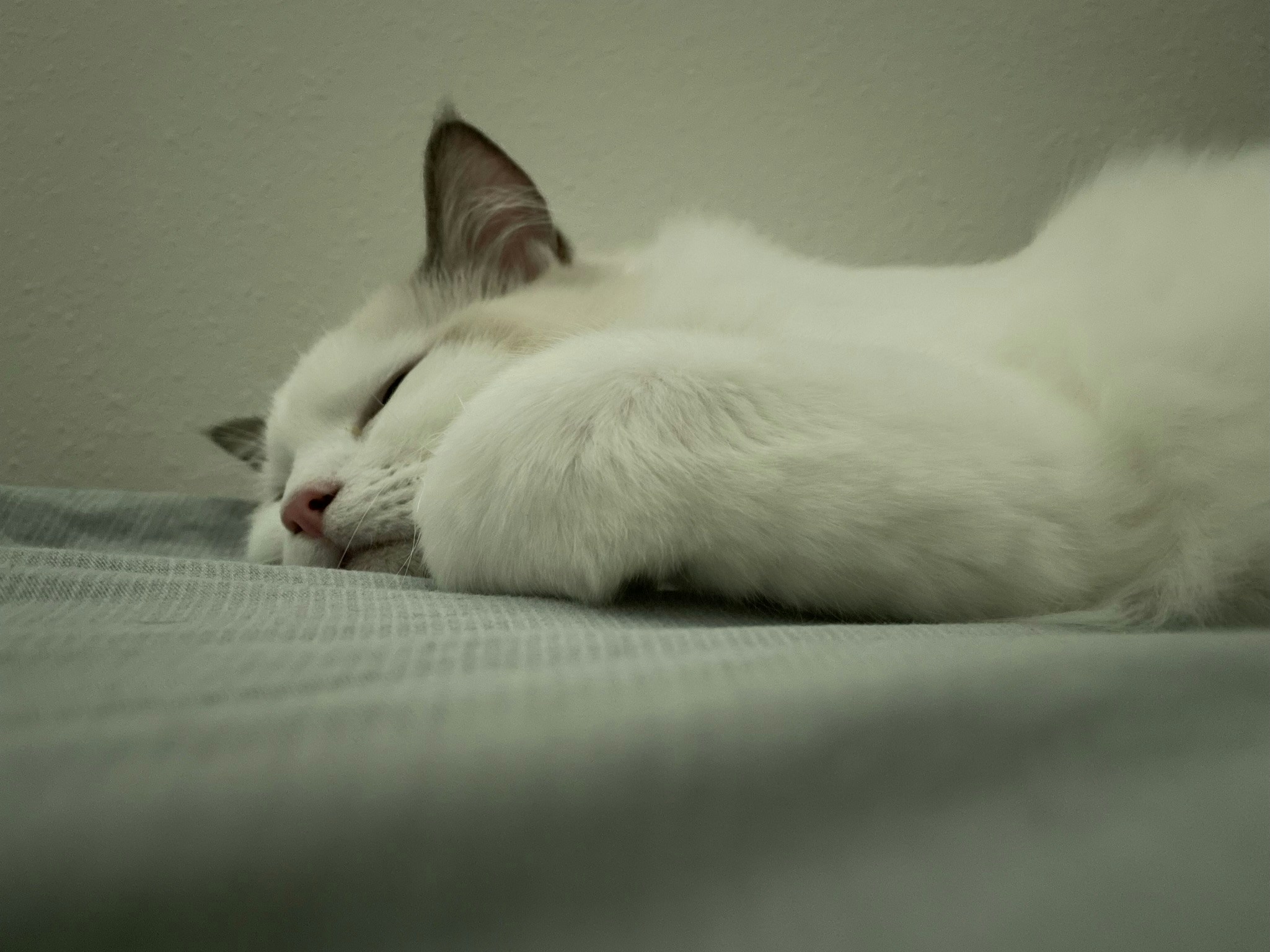 Go to Feiyou Guo's profile