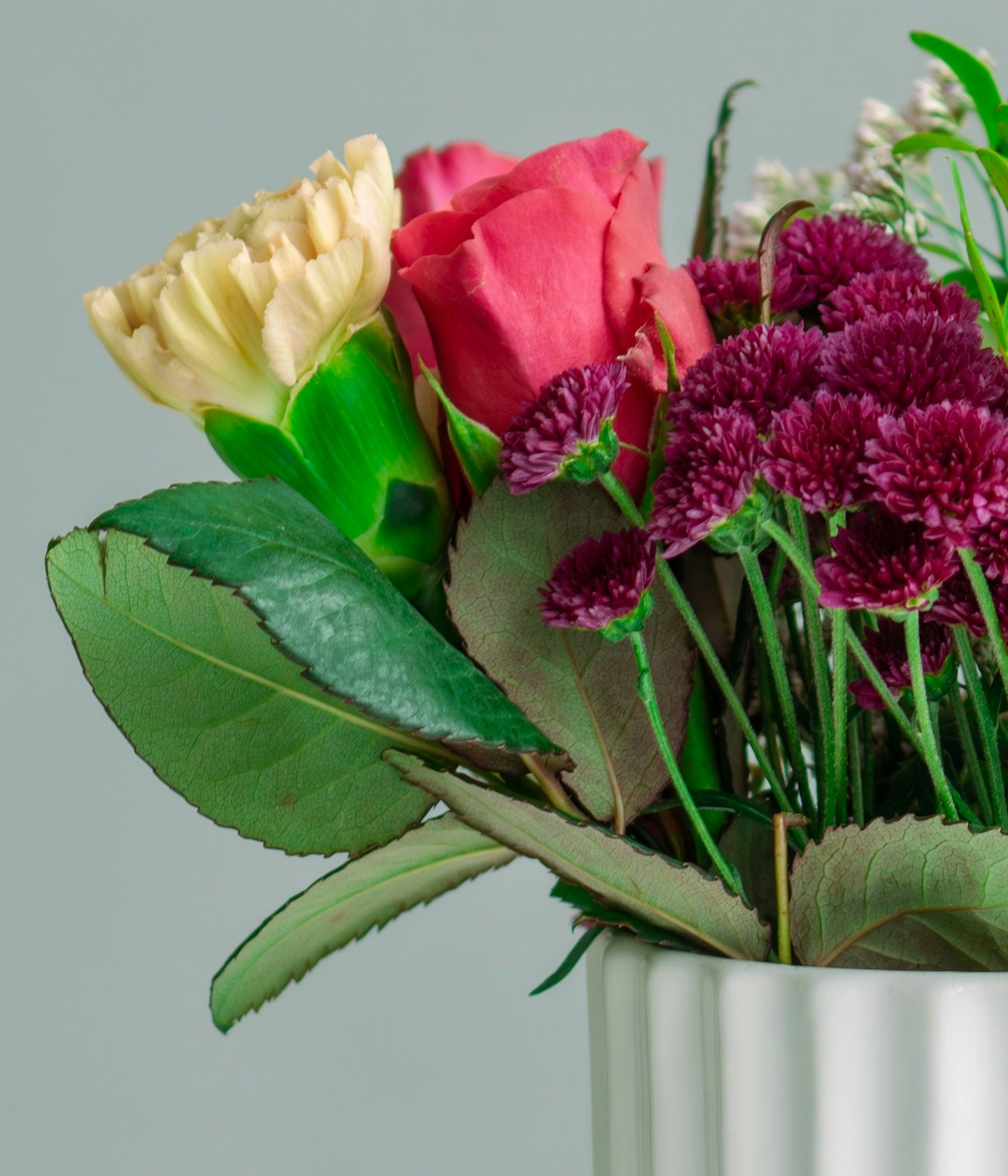 Accéder au profil de eskoala