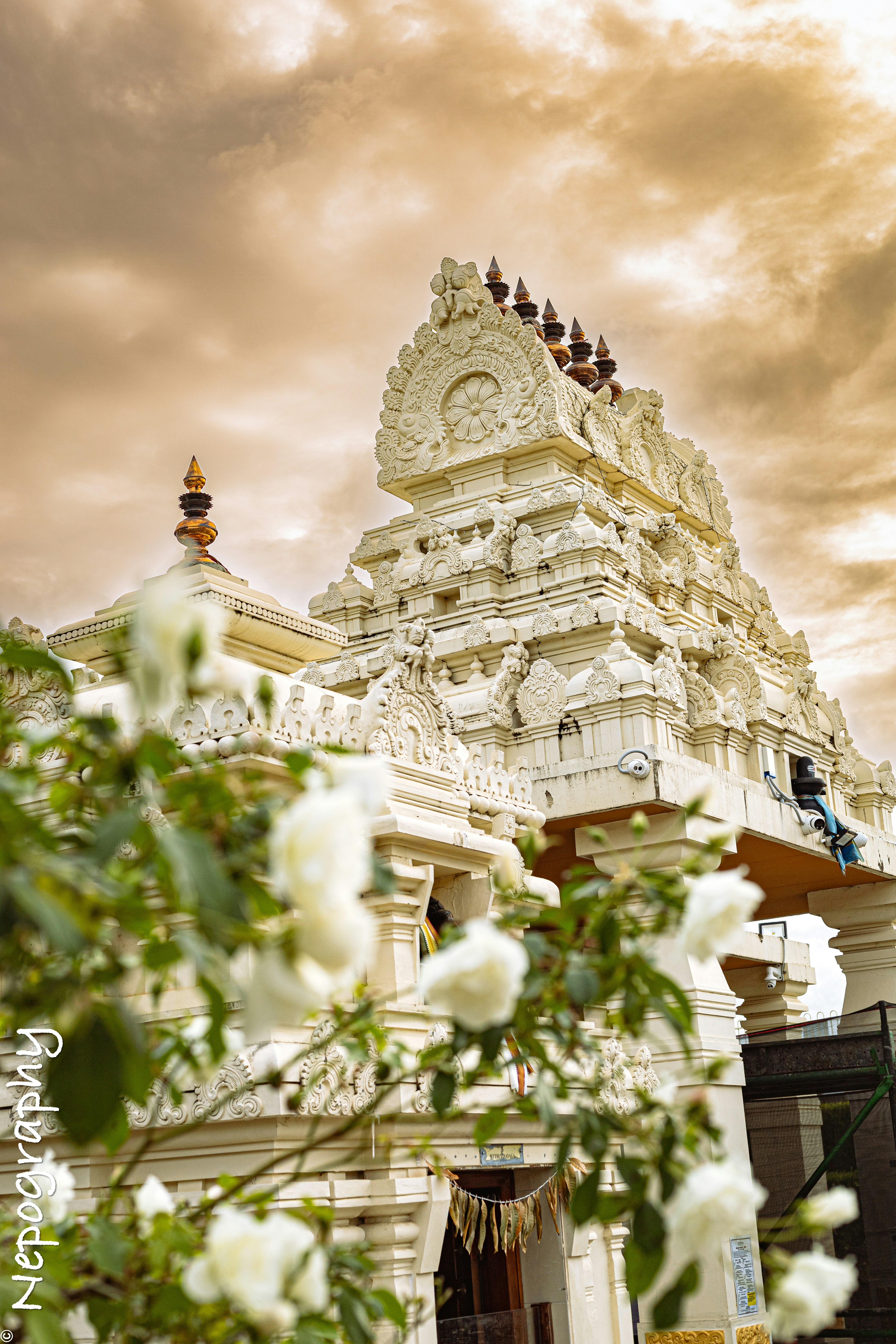 Go to Nepography's profile