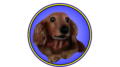 Go to Ryohei Tsuchiya's profile