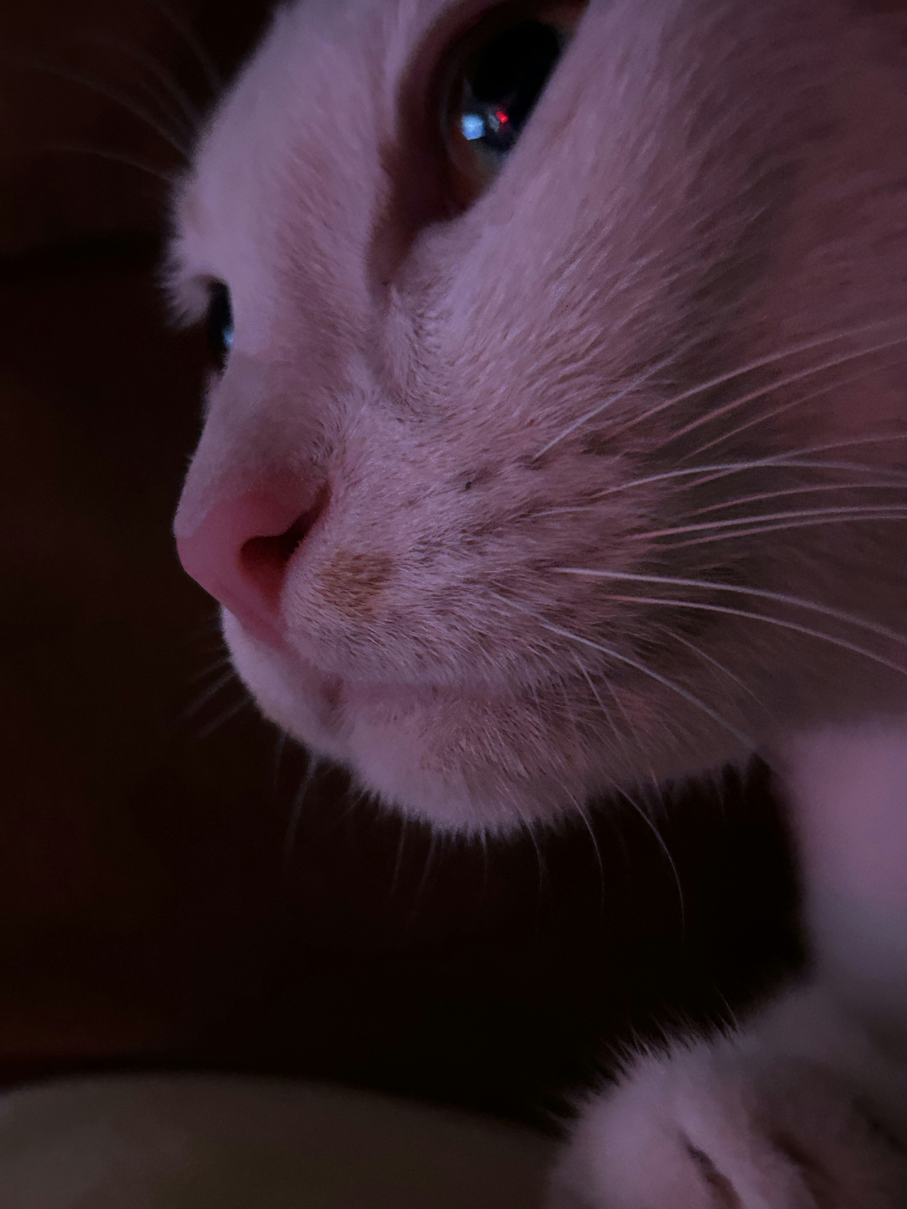 Go to Vy Le's profile