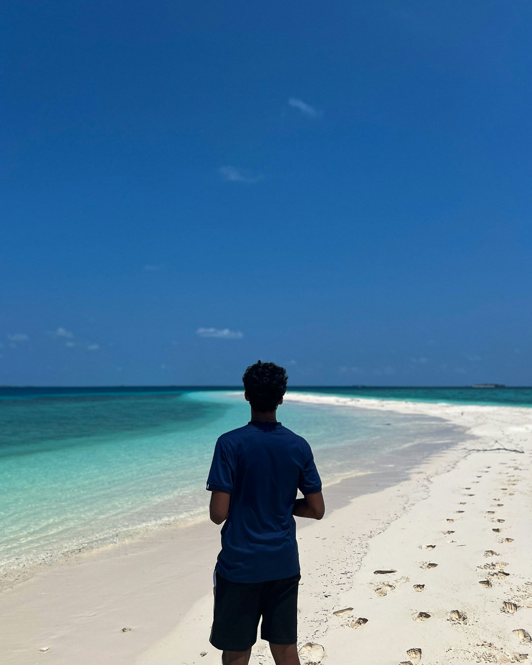 Go to Mohamed Saushan's profile