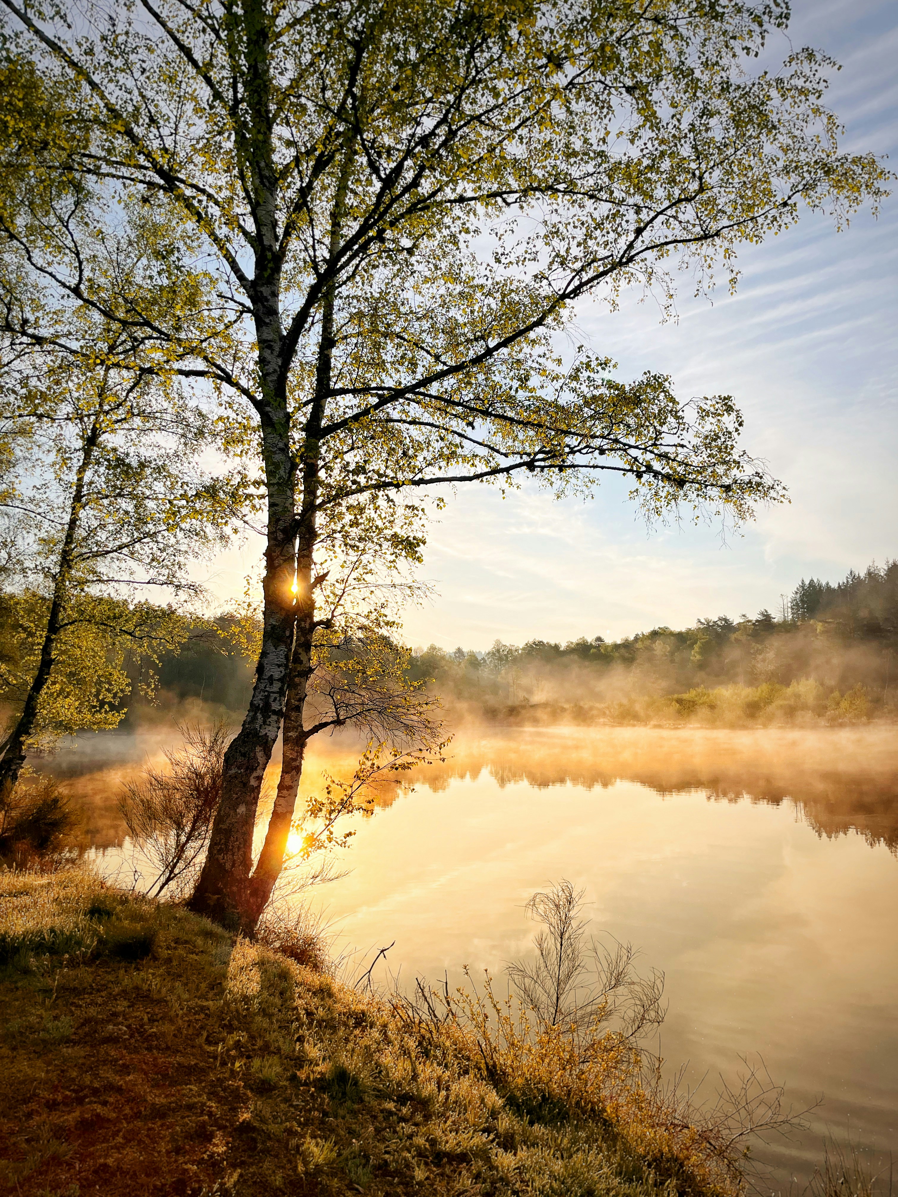 Accéder au profil de Art Of Nature