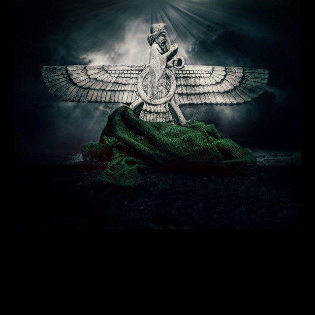 Go to Natu Ft's profile