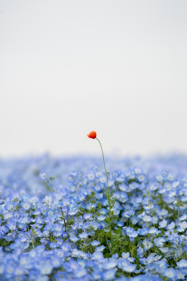 Go to Billy Brodzinski's profile