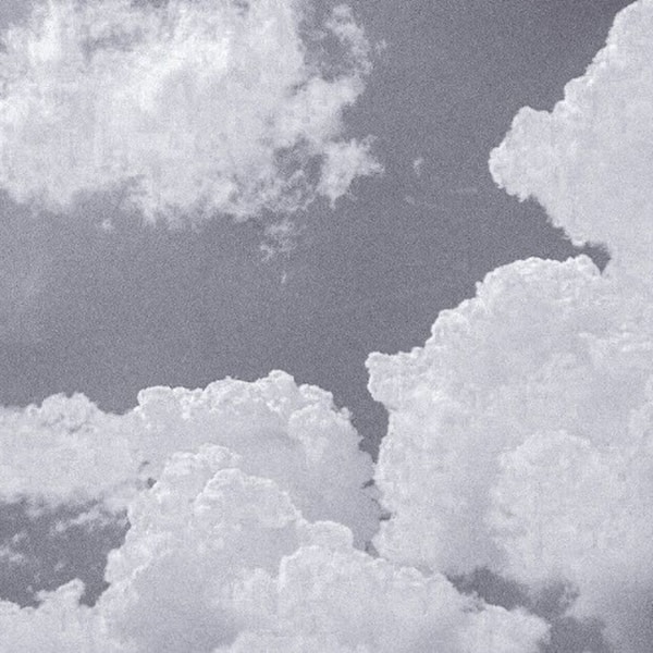 Unsplash profile picture for @clutter