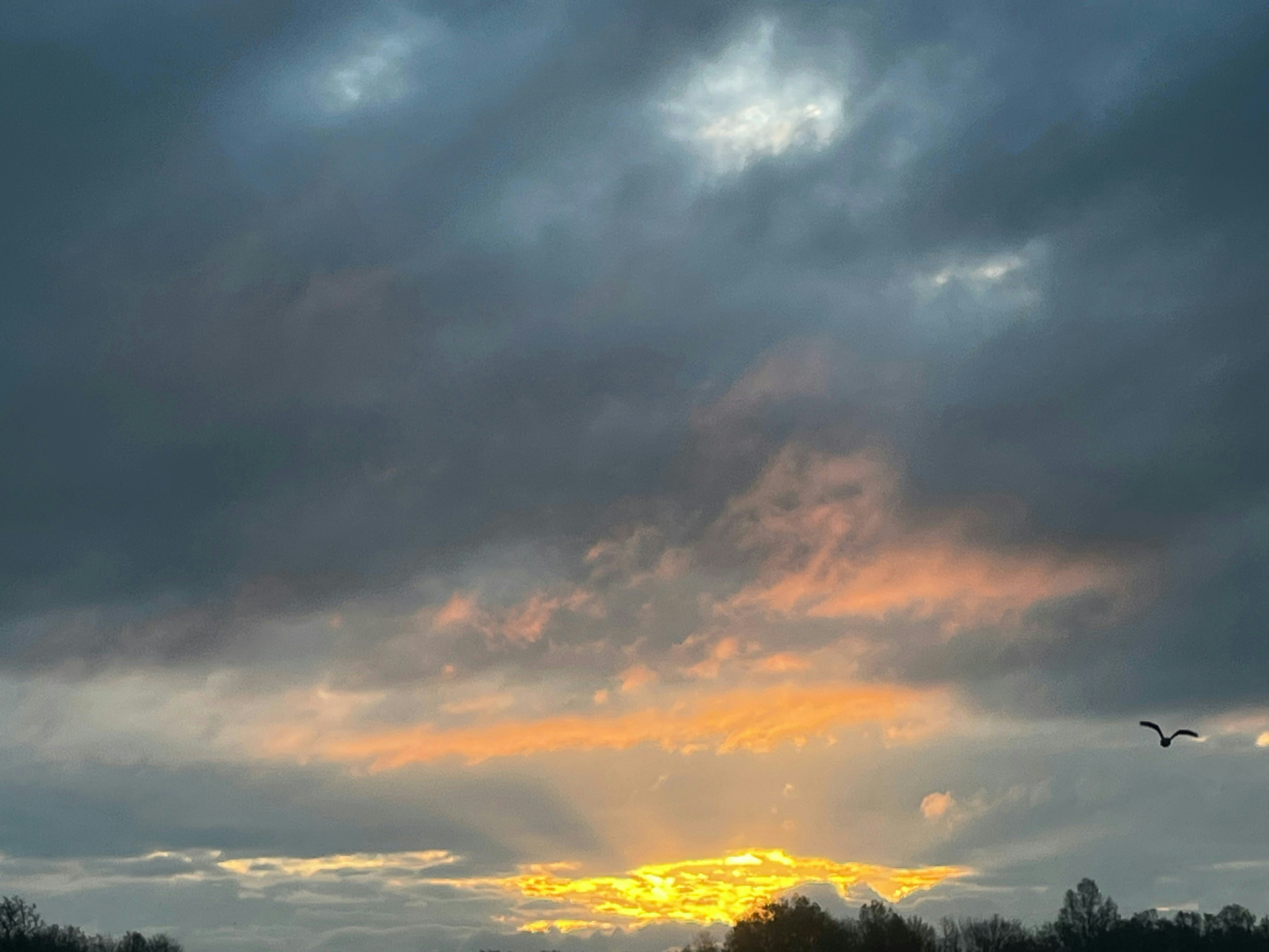 Zum Profil von Caleb Bright