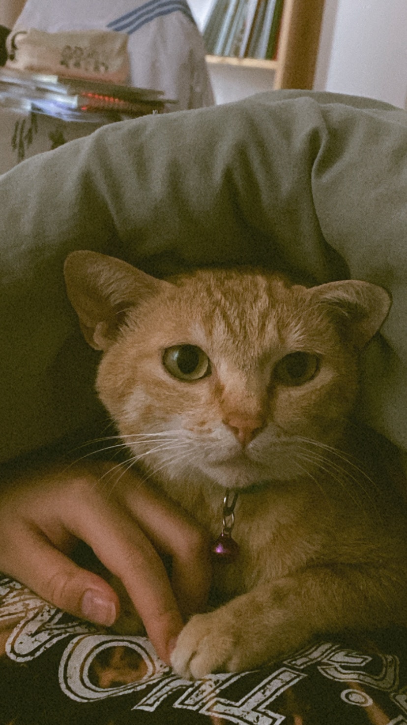 Go to Thanh Cham's profile