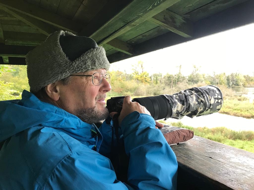 Go to Walter Brunner's profile