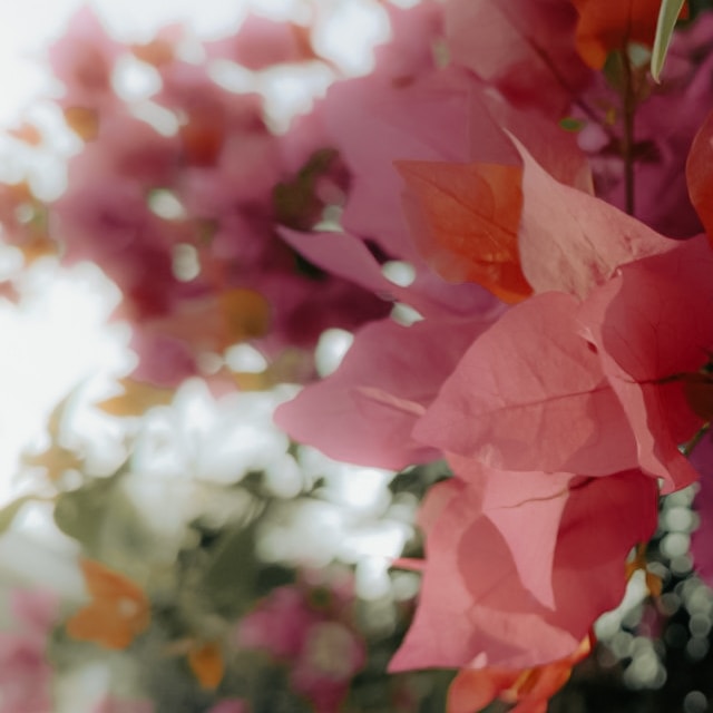 Go to Ashish AB's profile