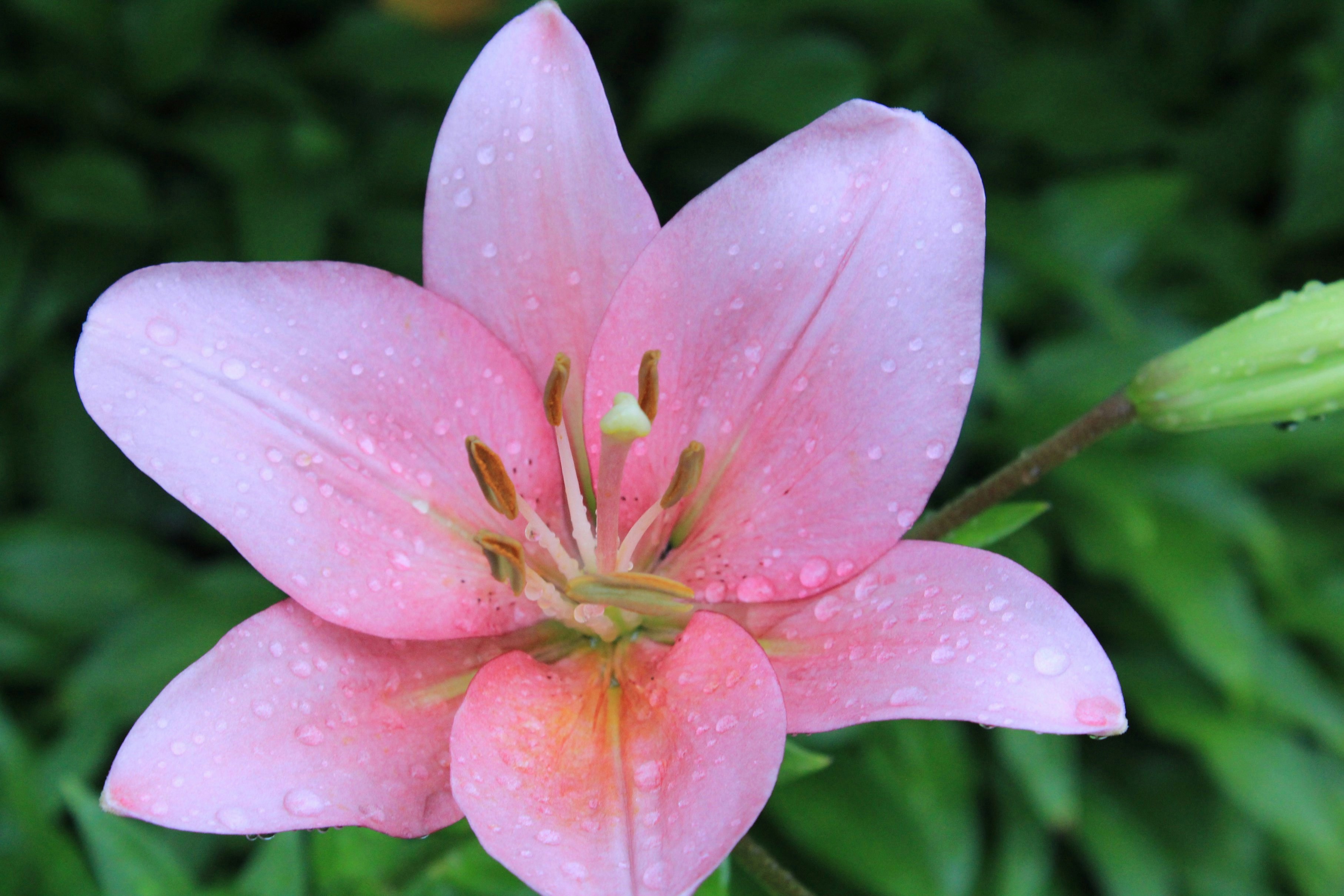 Go to Jen Shish's profile