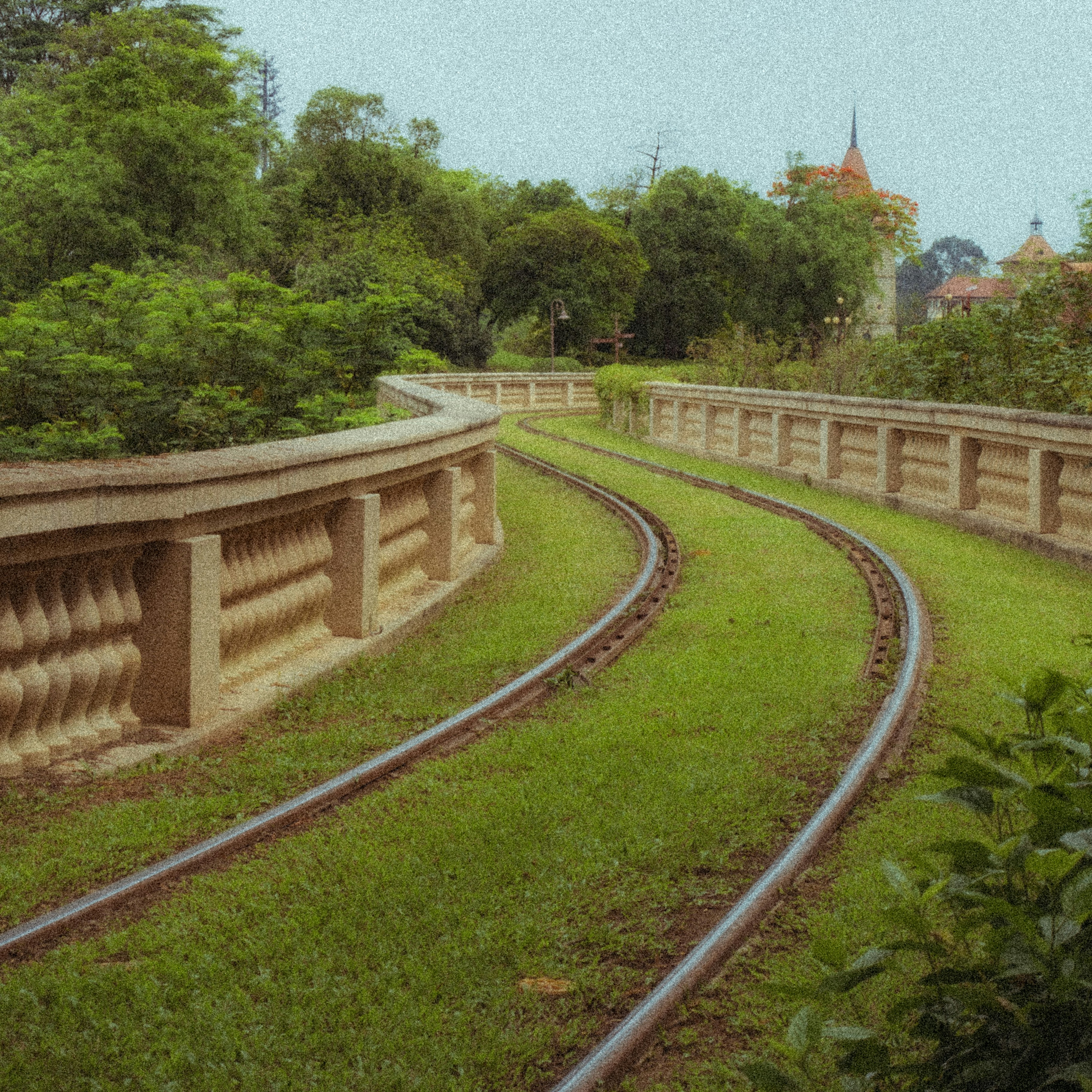 Go to Vladimir Wang's profile