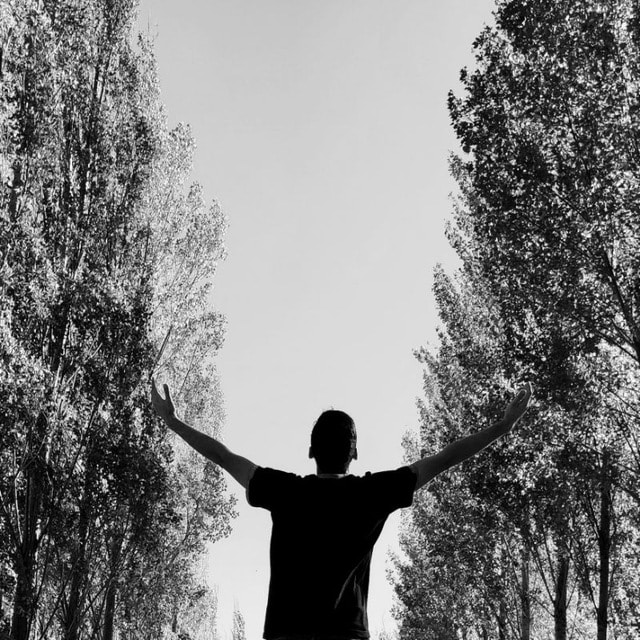 Go to Ashkan Ala's profile