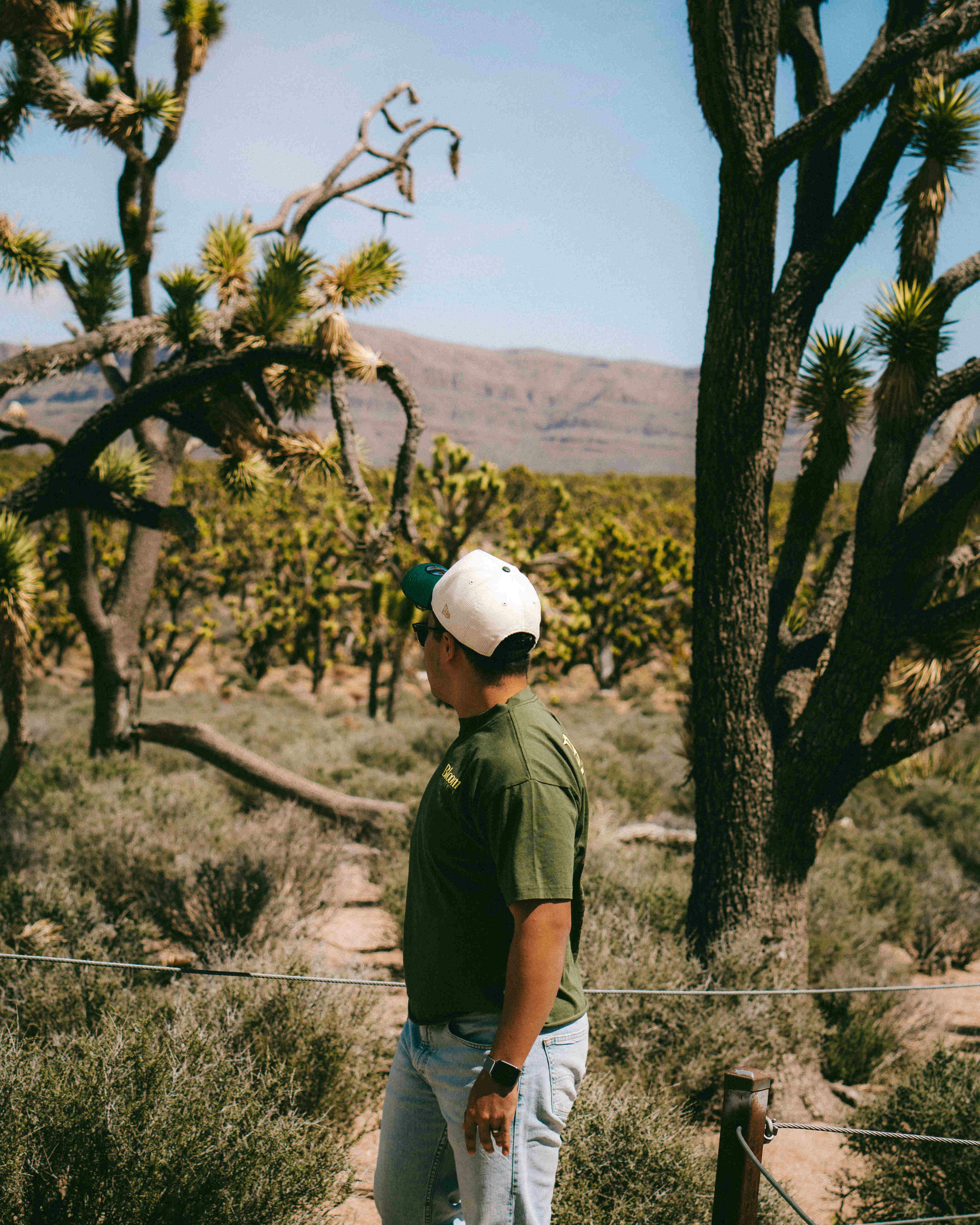 Avatar of user Daniel Velásquez