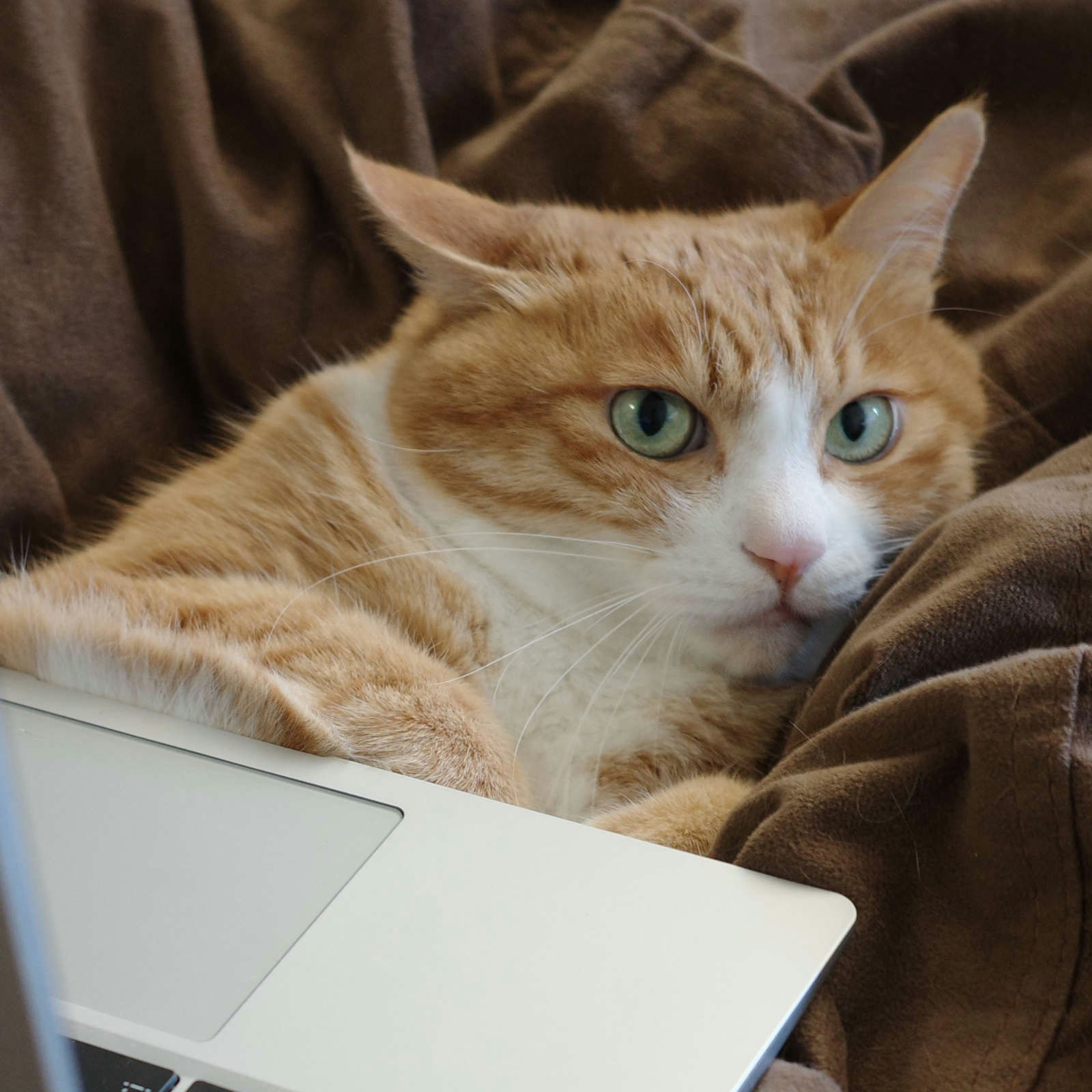 Go to Yibo Wei's profile