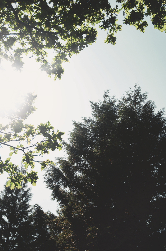 Go to Nathan Marshall's profile