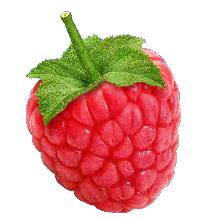 Go to Dodger laurent's profile