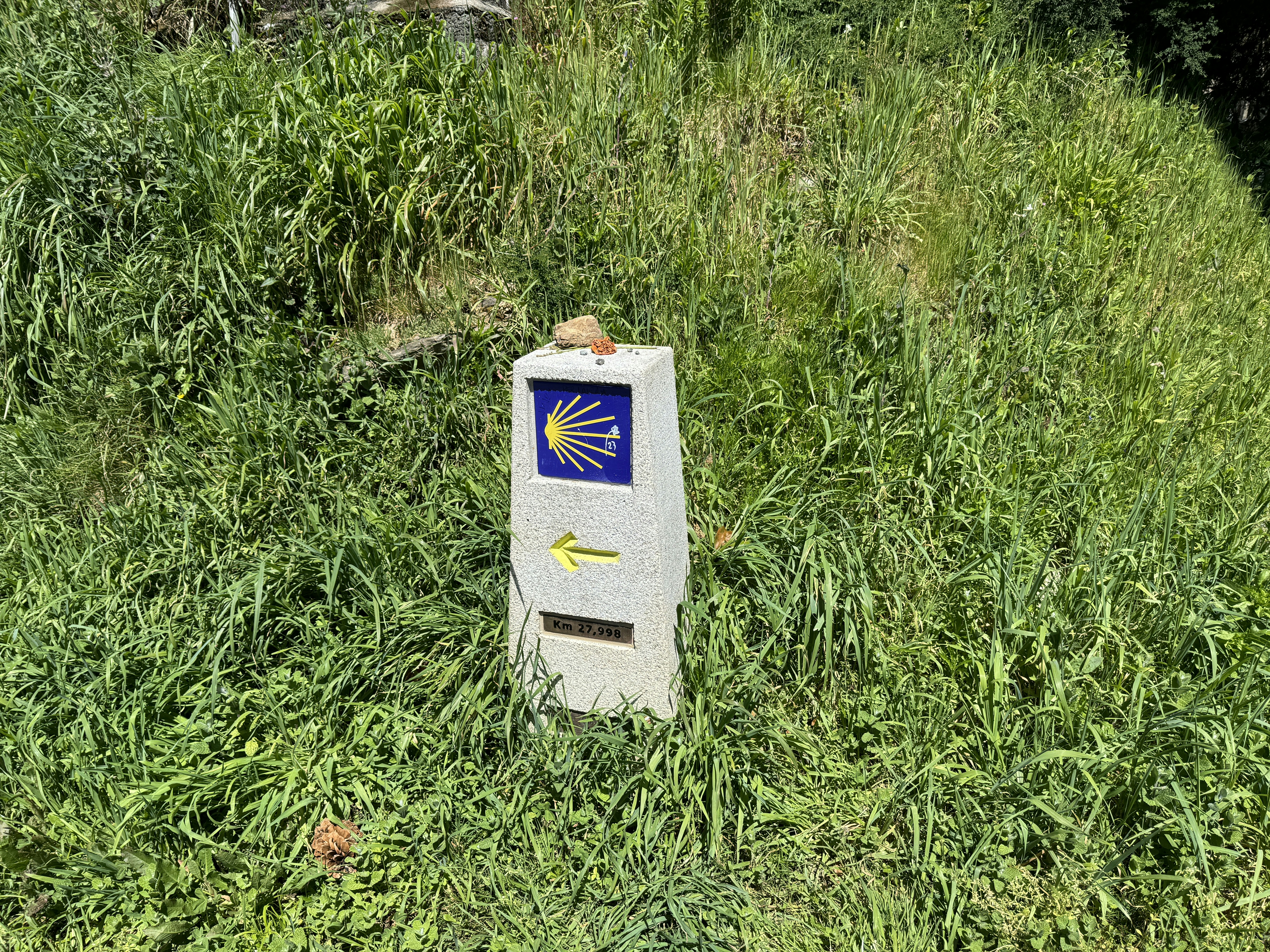 Go to Robert Foster's profile