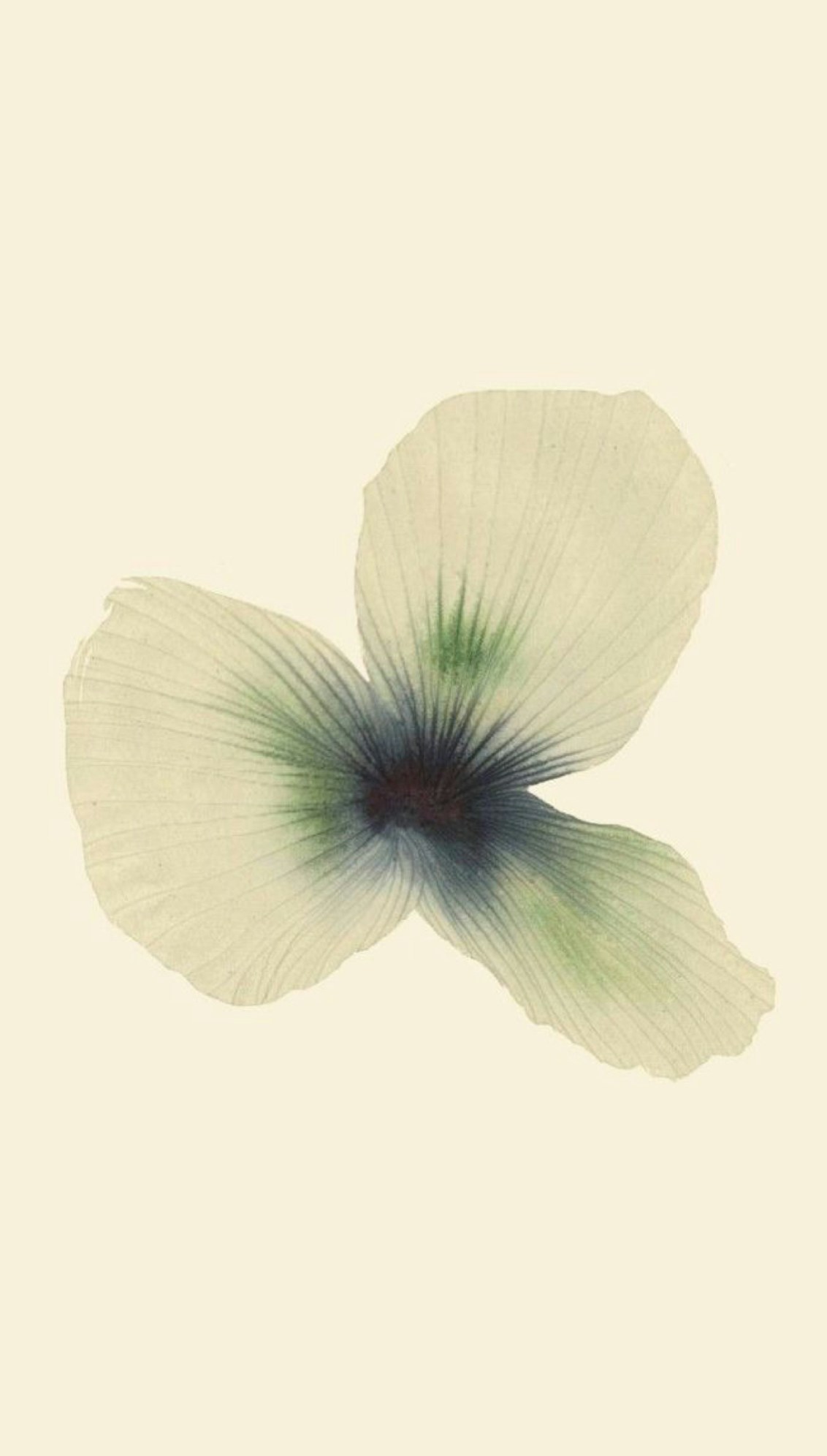 Avatar of user Grace Mooney