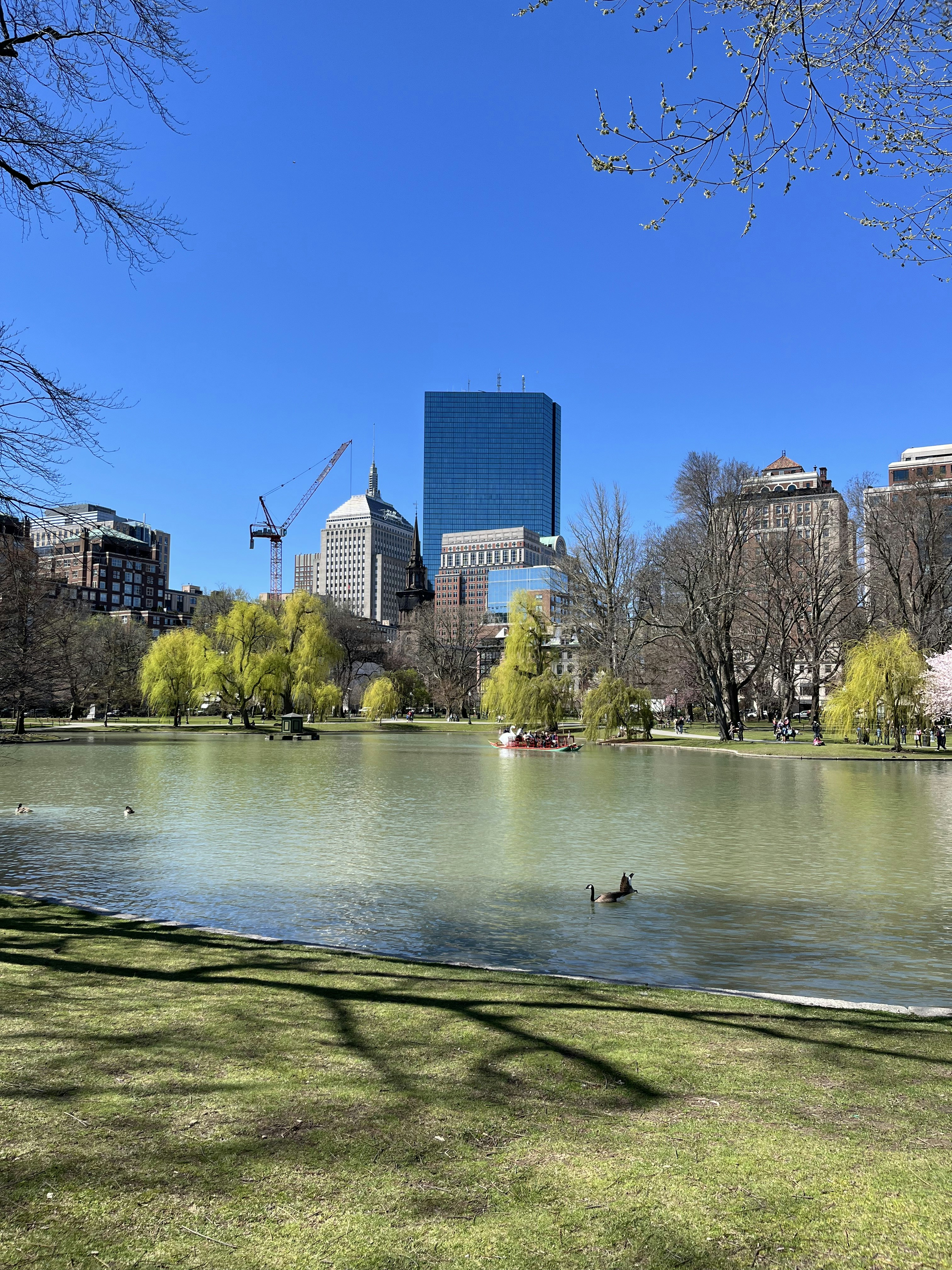 Go to Diego Rivera's profile