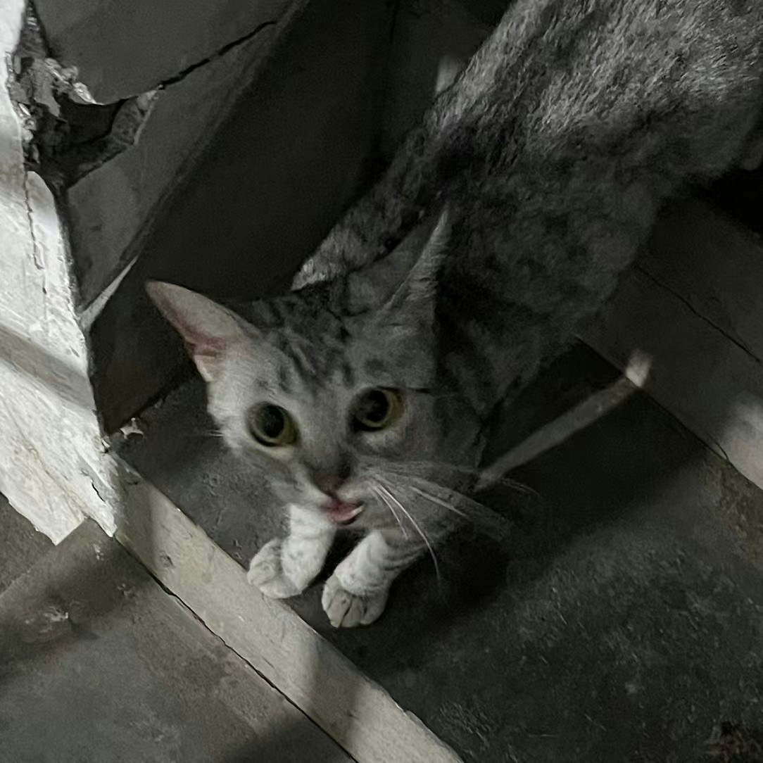 Vai al profilo di Nov Wu