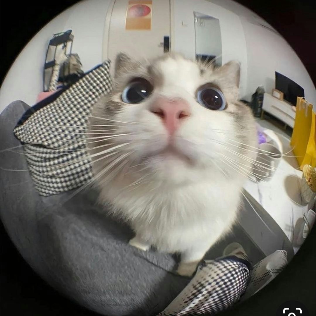 Go to a chnv's profile