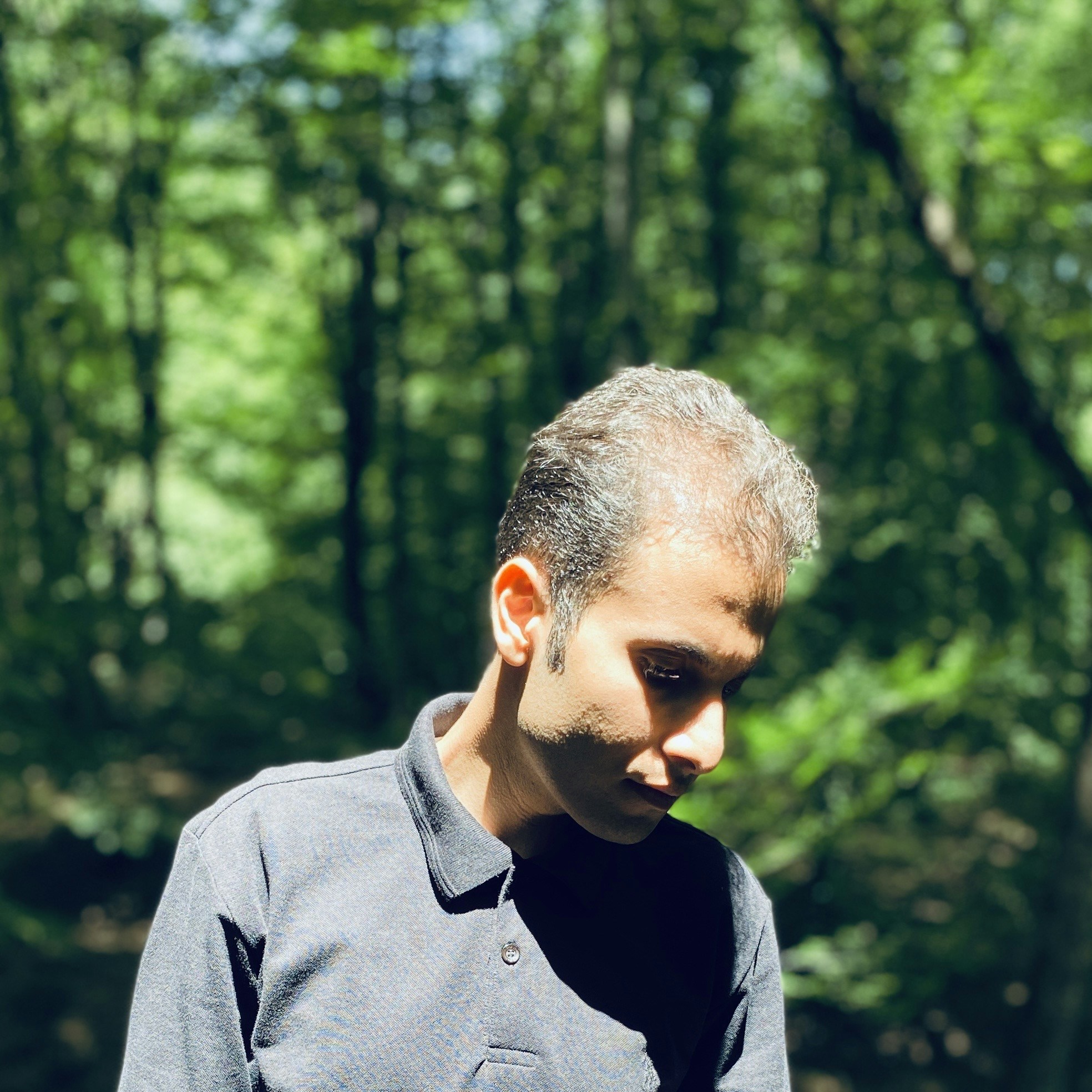 Amir Reza Mansouriのプロフィールを見る