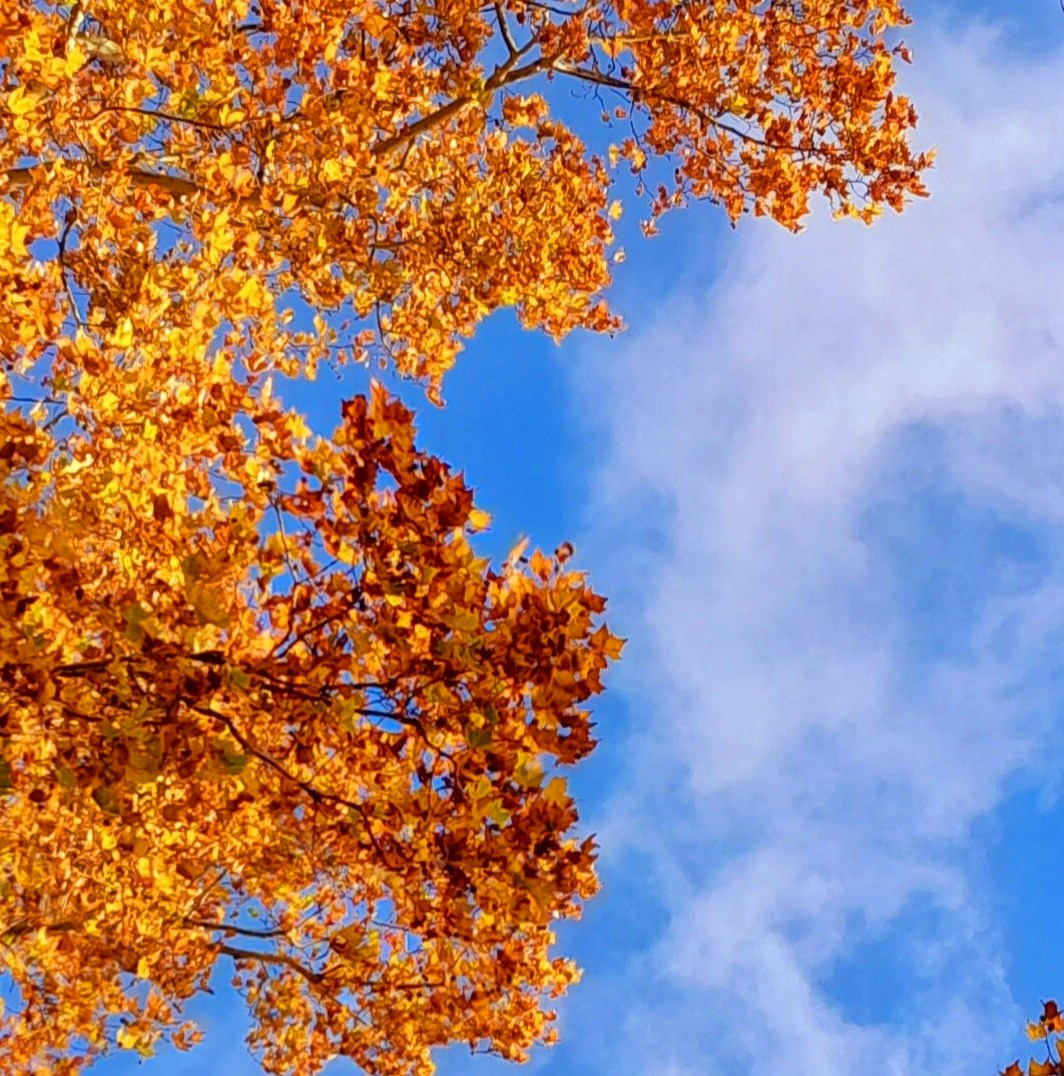 Go to Eileen Photography's profile