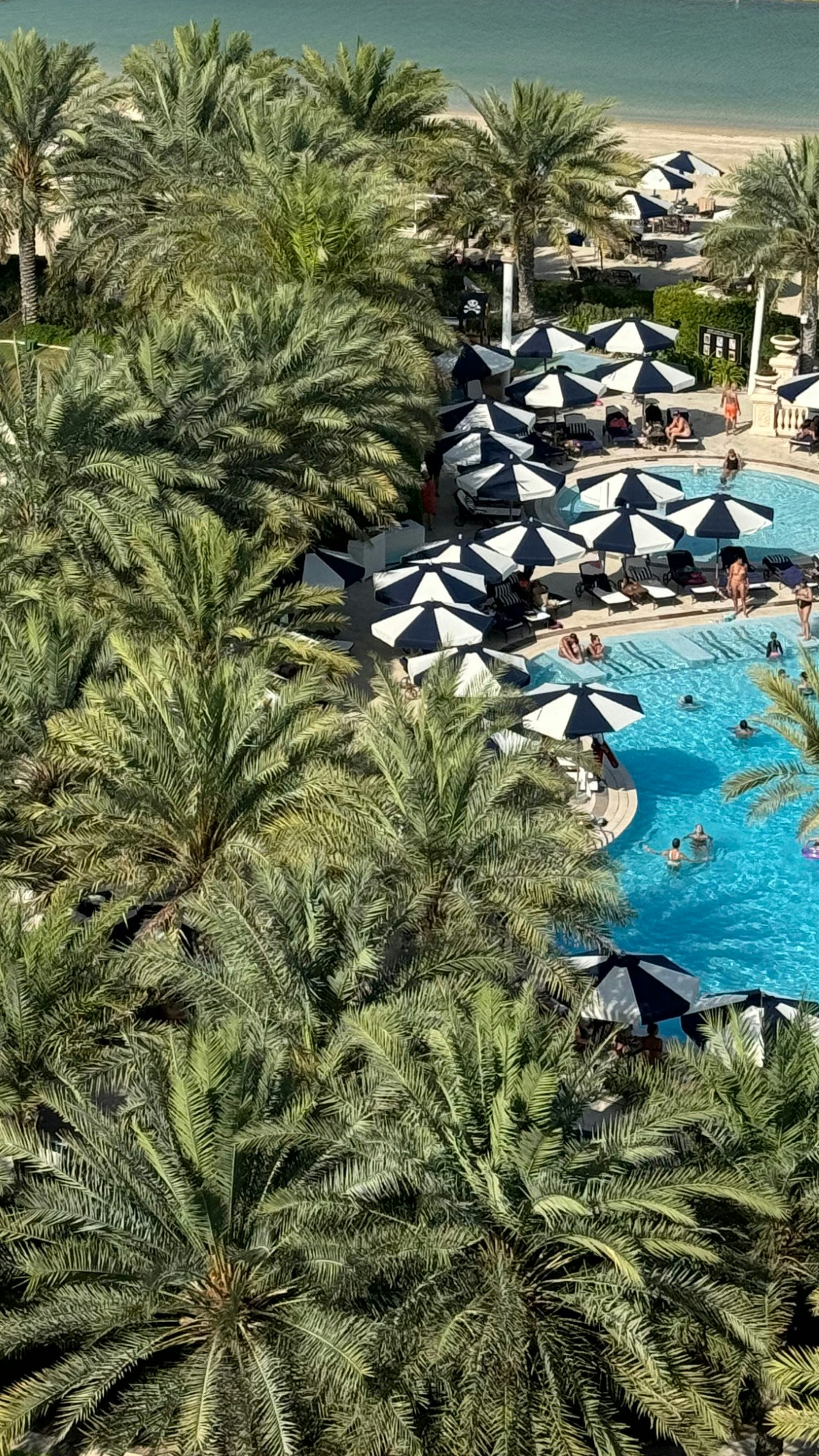 Go to Florence Feingold's profile