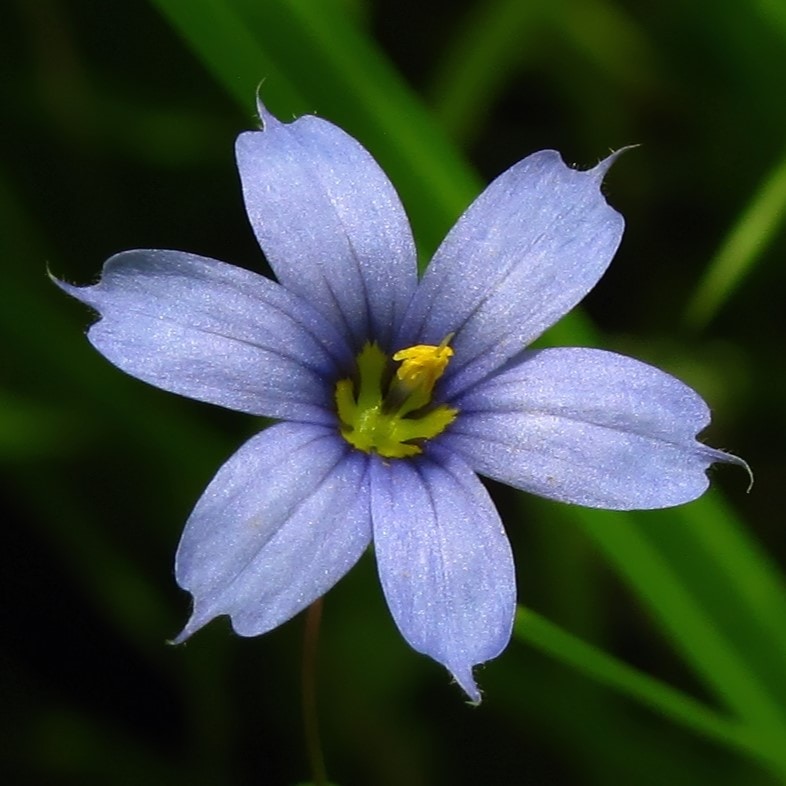 Go to Alexandria Szakacs's profile