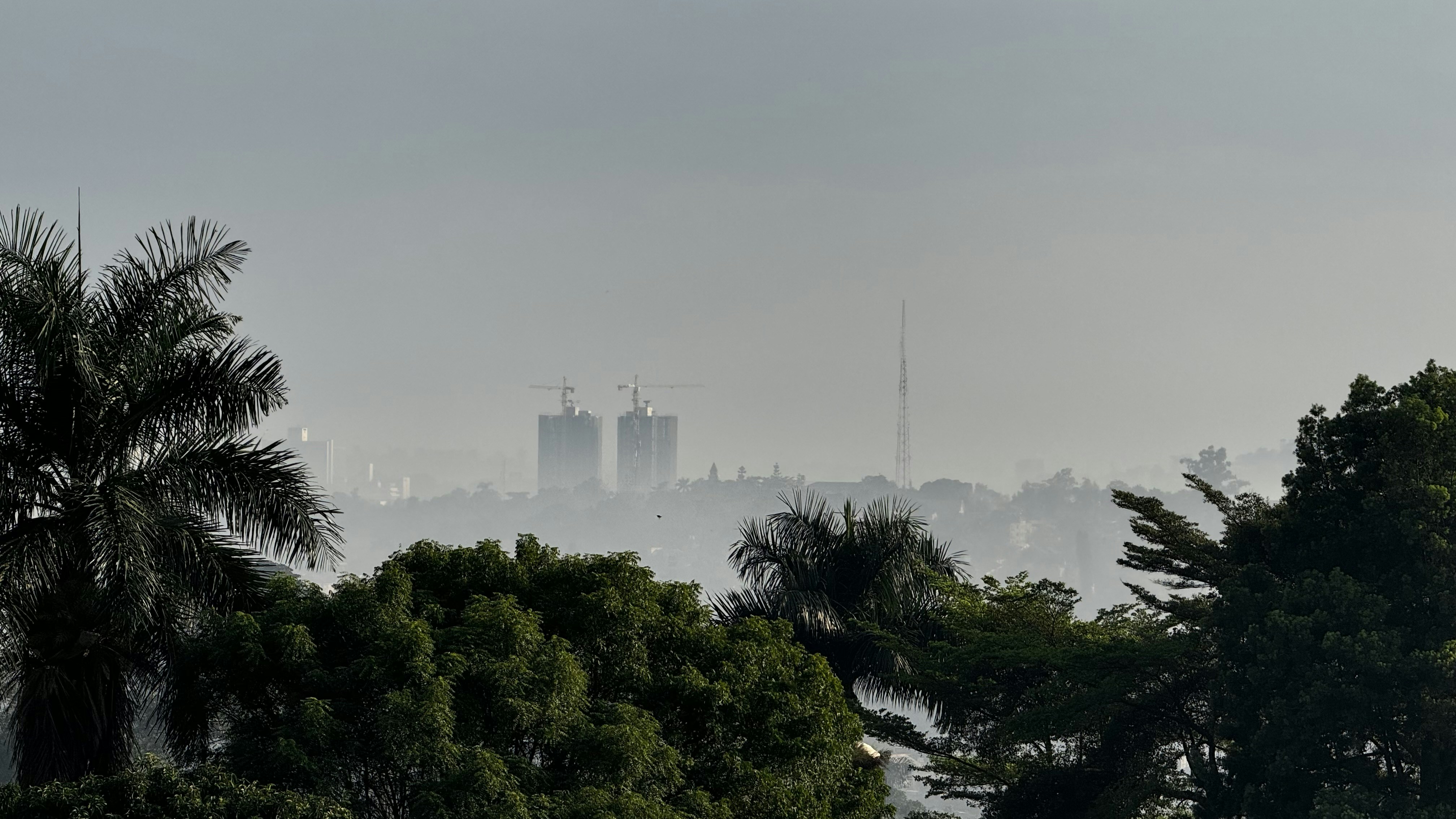 Go to M Grate Pest's profile