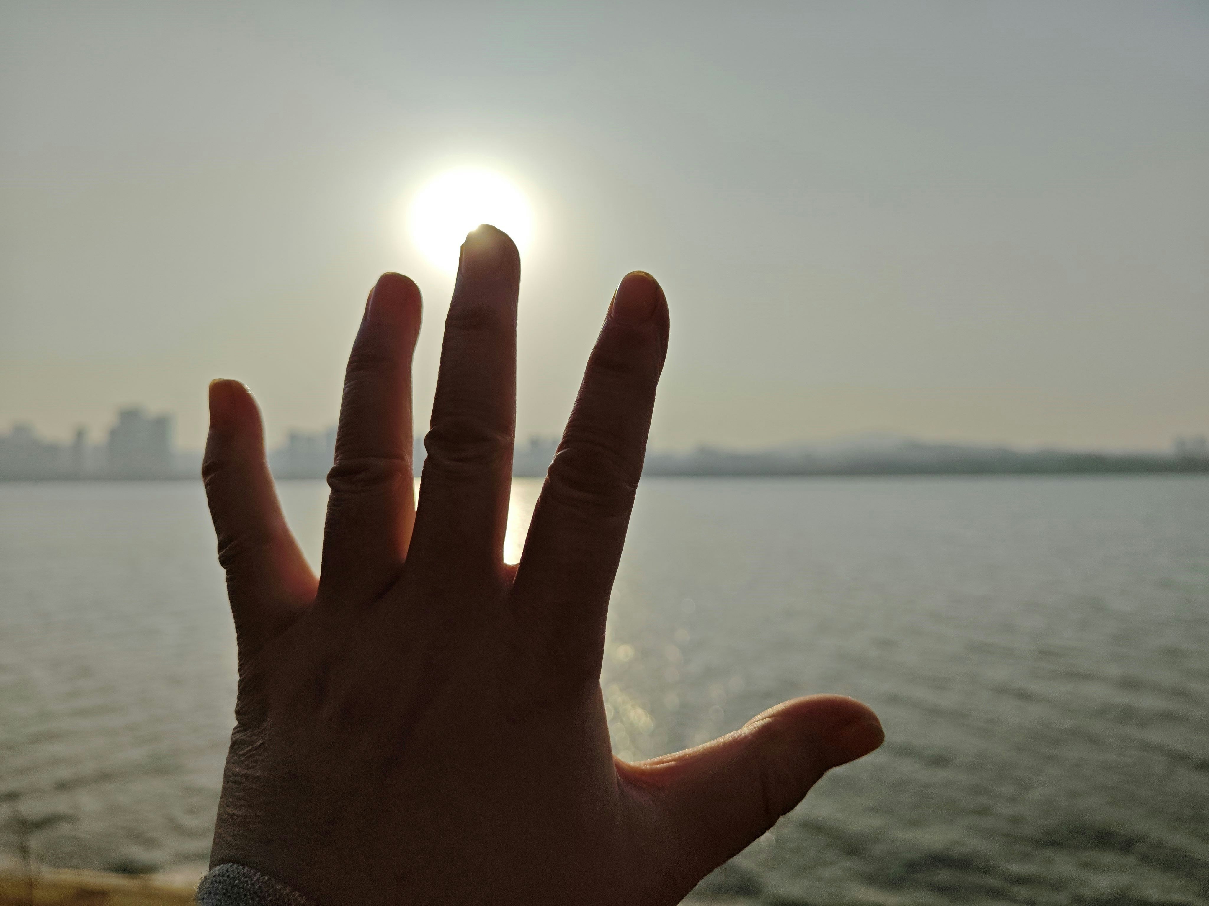 Zum Profil von Thomas Shaw