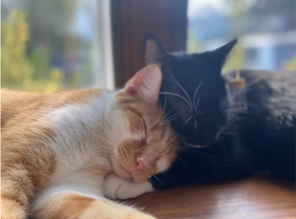 Go to Karin Kim's profile