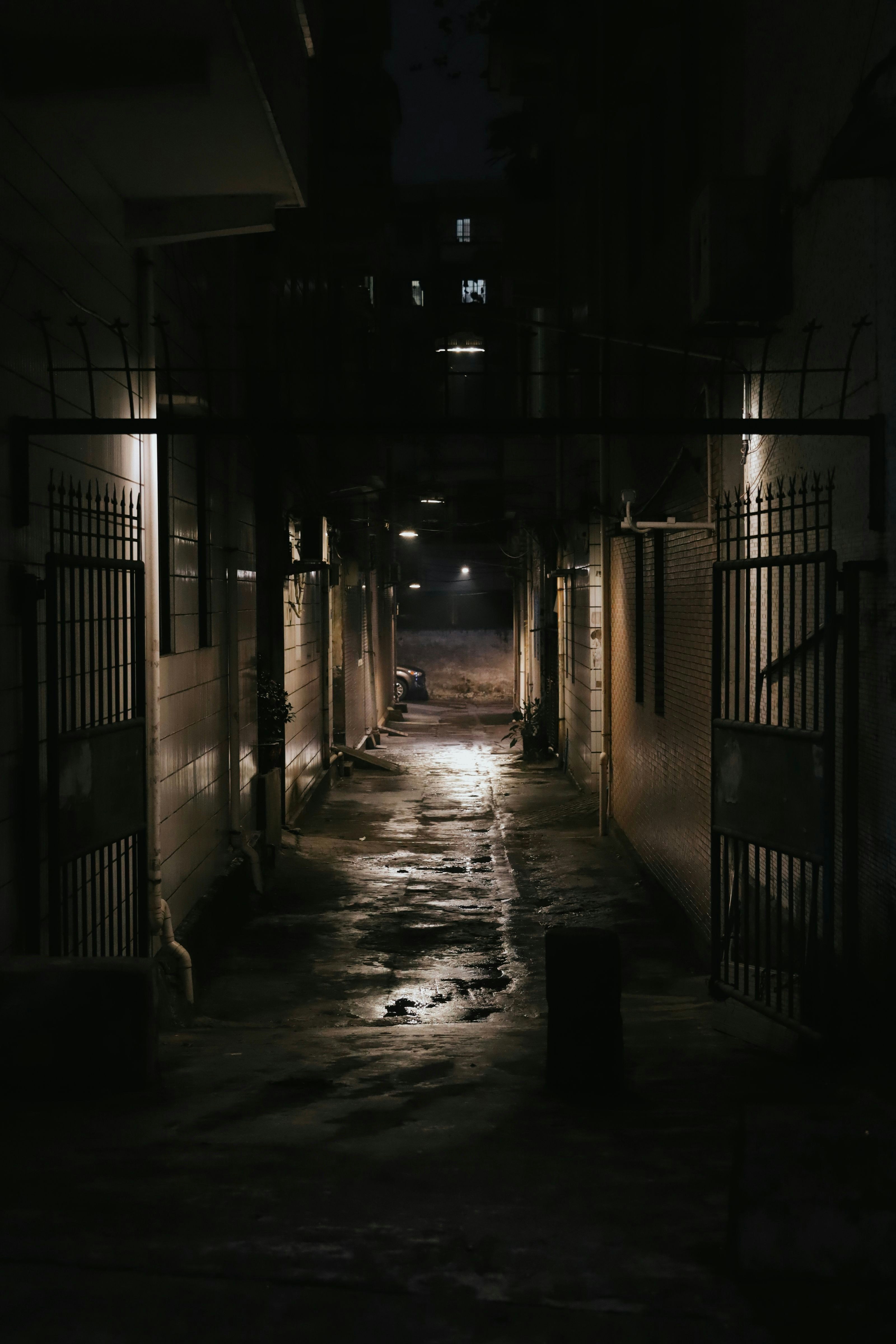 Ir para o perfil de Rex Li