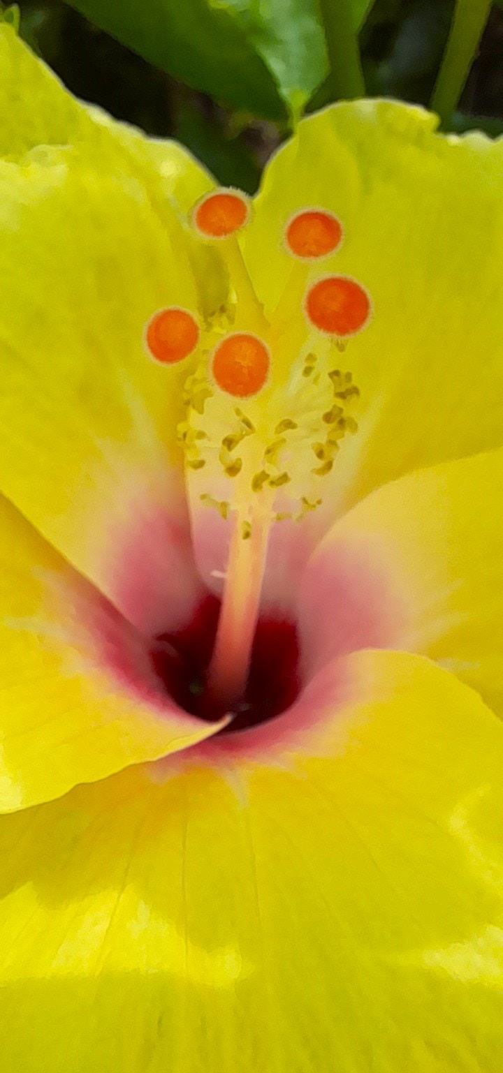 Go to Uneed Needu's profile