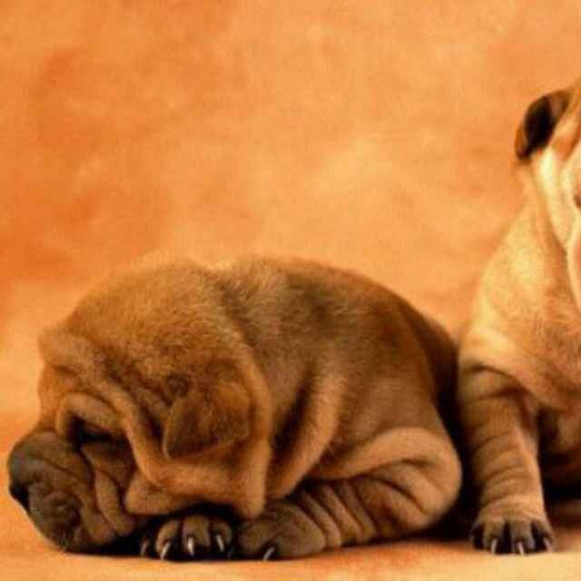 Avatar von Benutzer JinHui CHEN