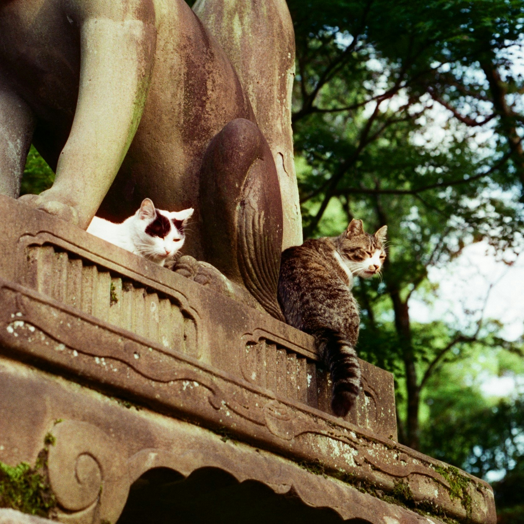 Go to Minh's profile