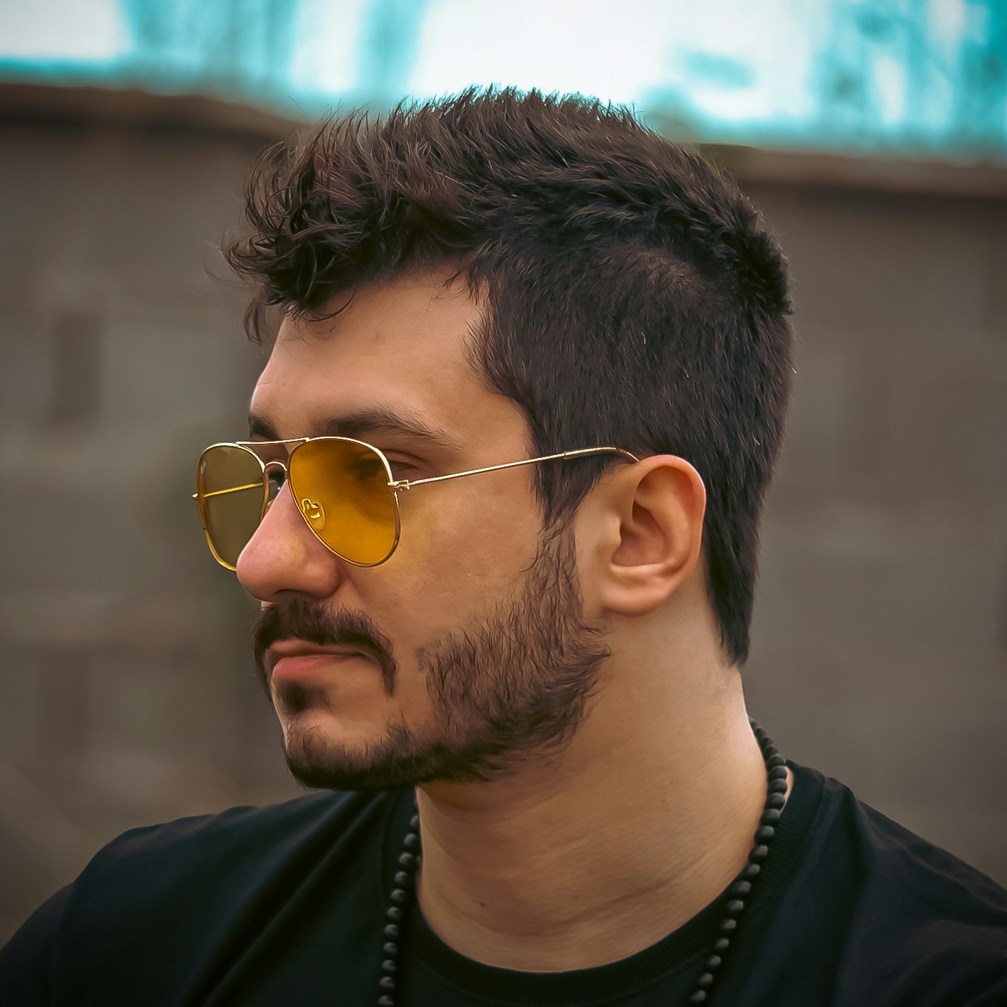 Go to Nima van Ghavim's profile