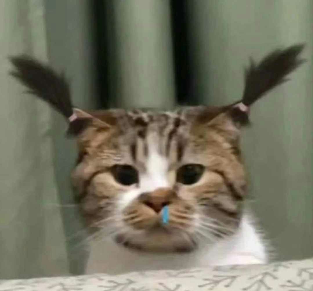 Avatar of user Nhân Võ