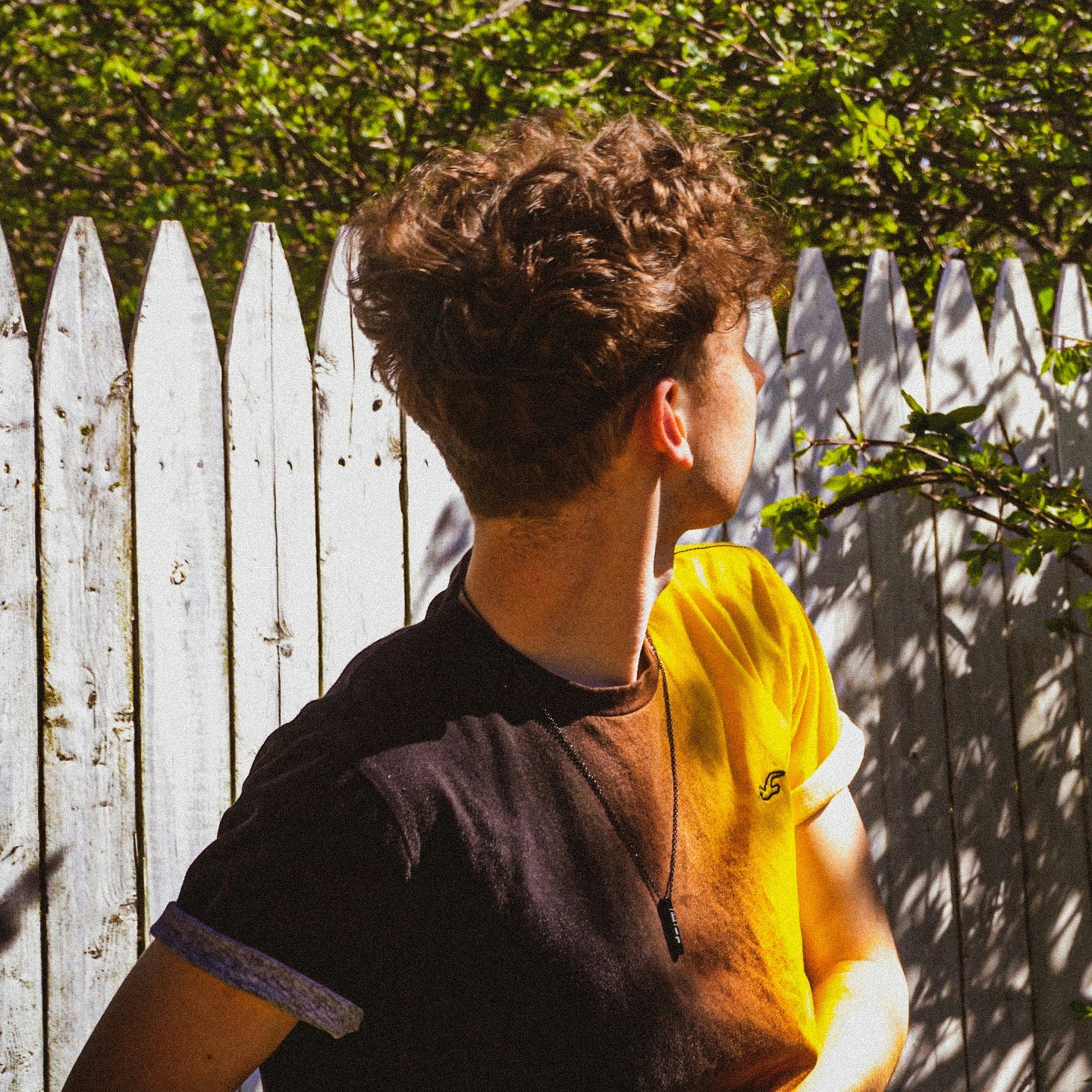 Go to aiden patrissi's profile