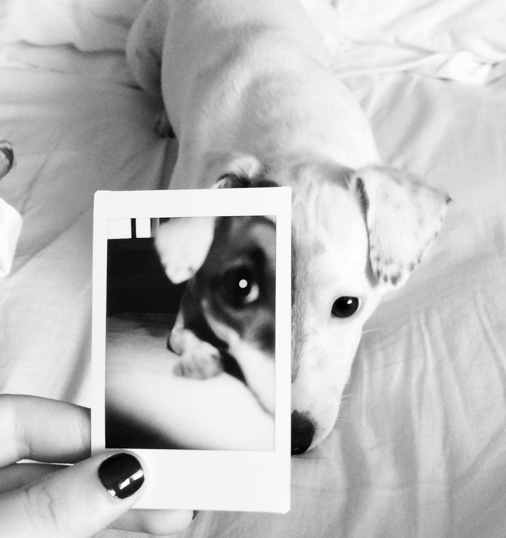 Go to Victoria Andrade's profile