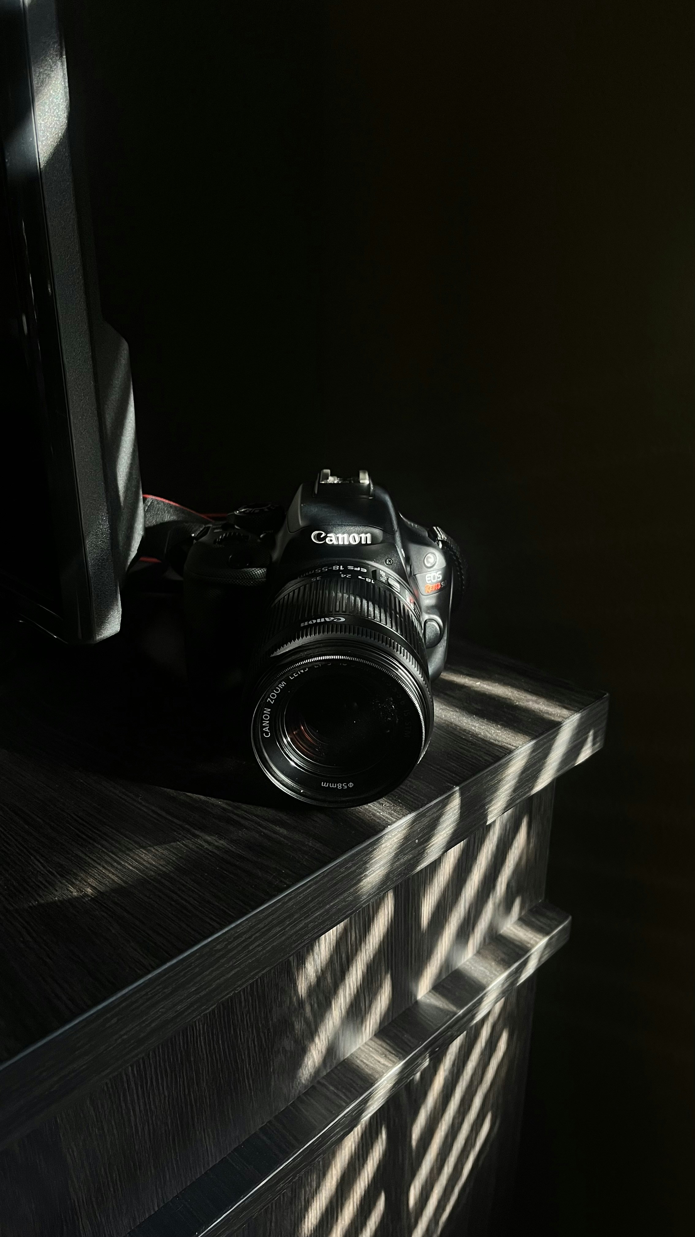 Go to Veronica's profile