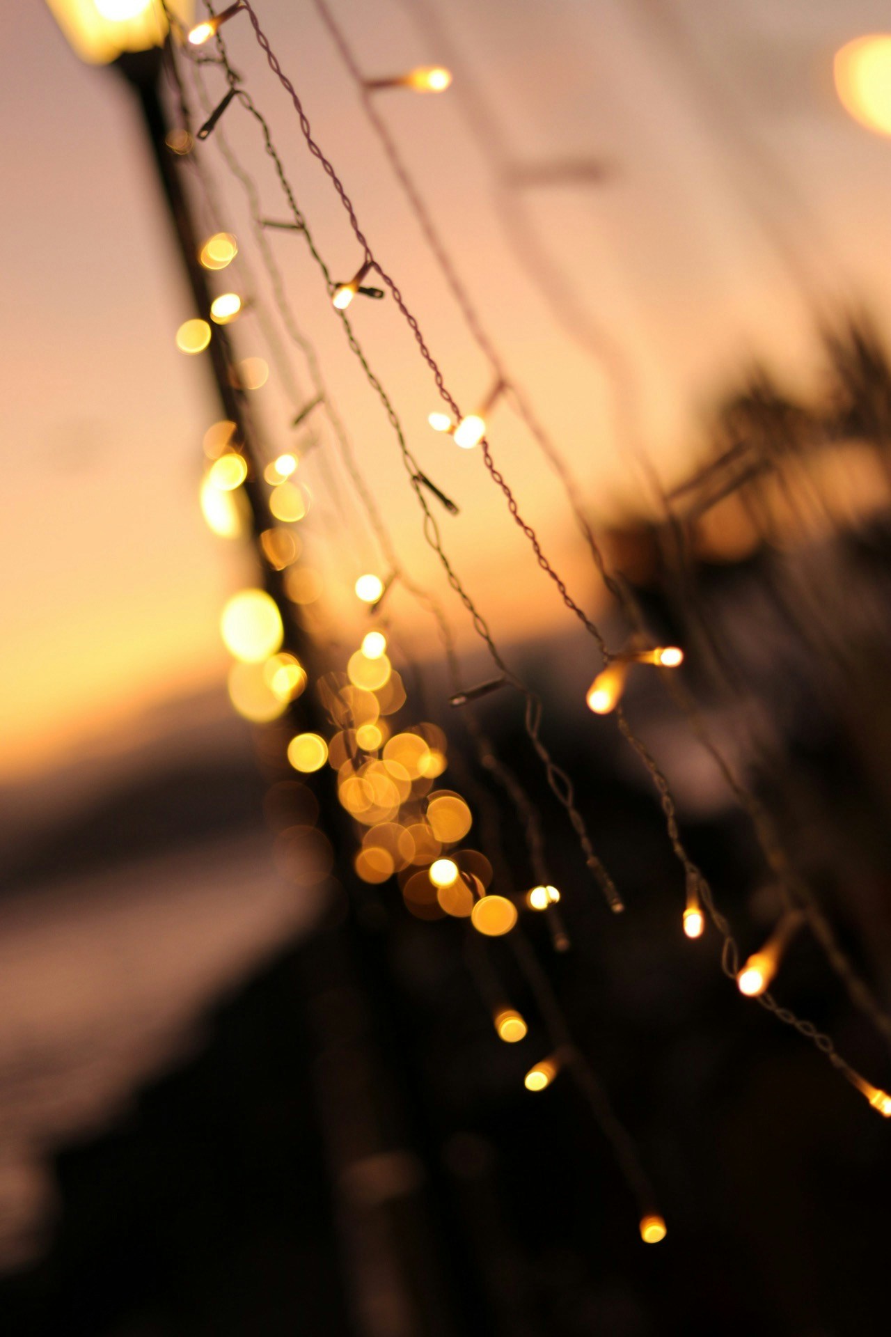 Go to Li Zim's profile