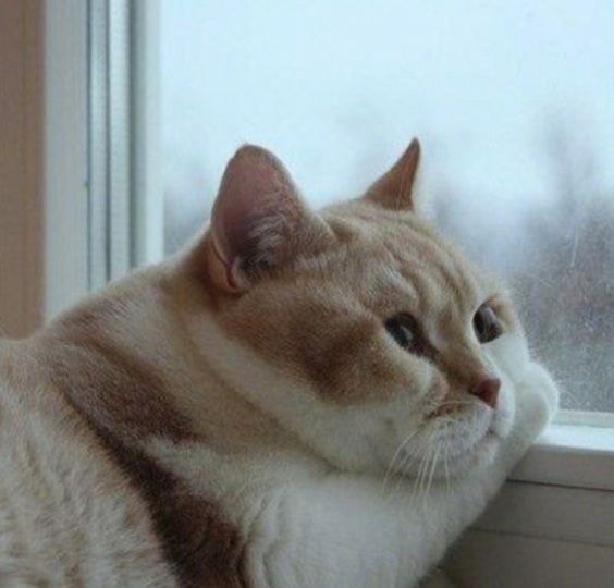 Go to Dmytr Ž.'s profile