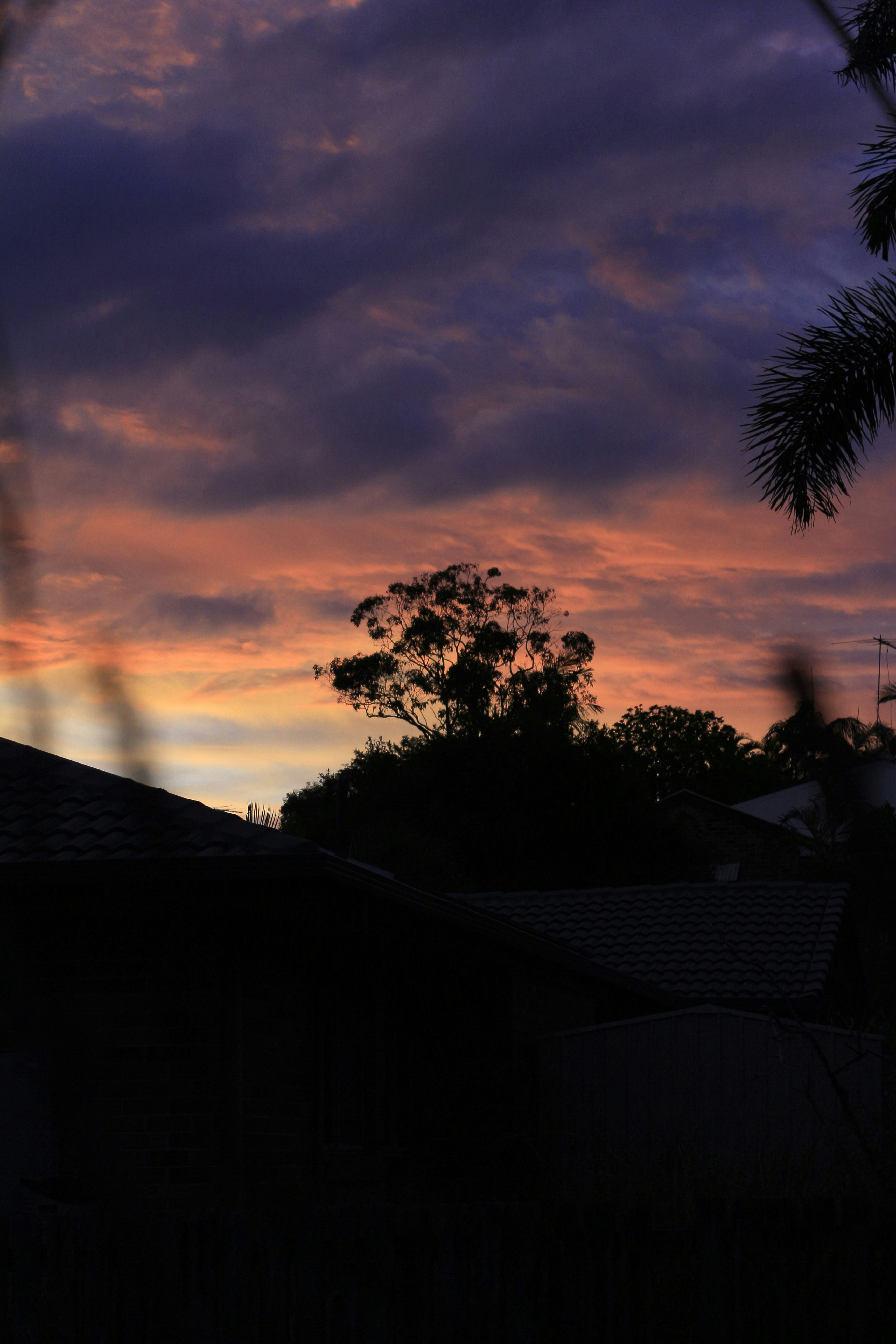 Go to Cody M's profile