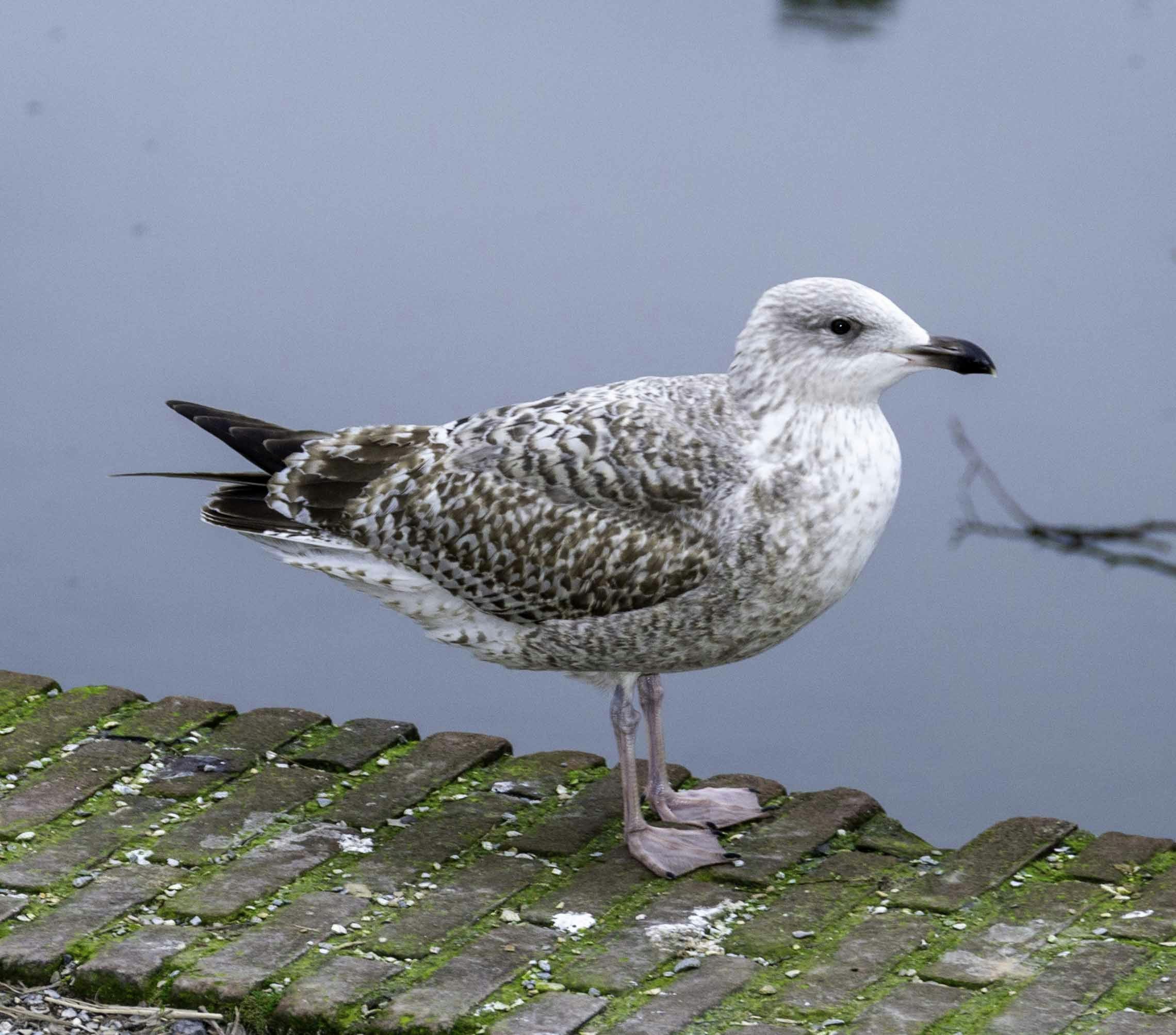 Go to Martín Márquez's profile