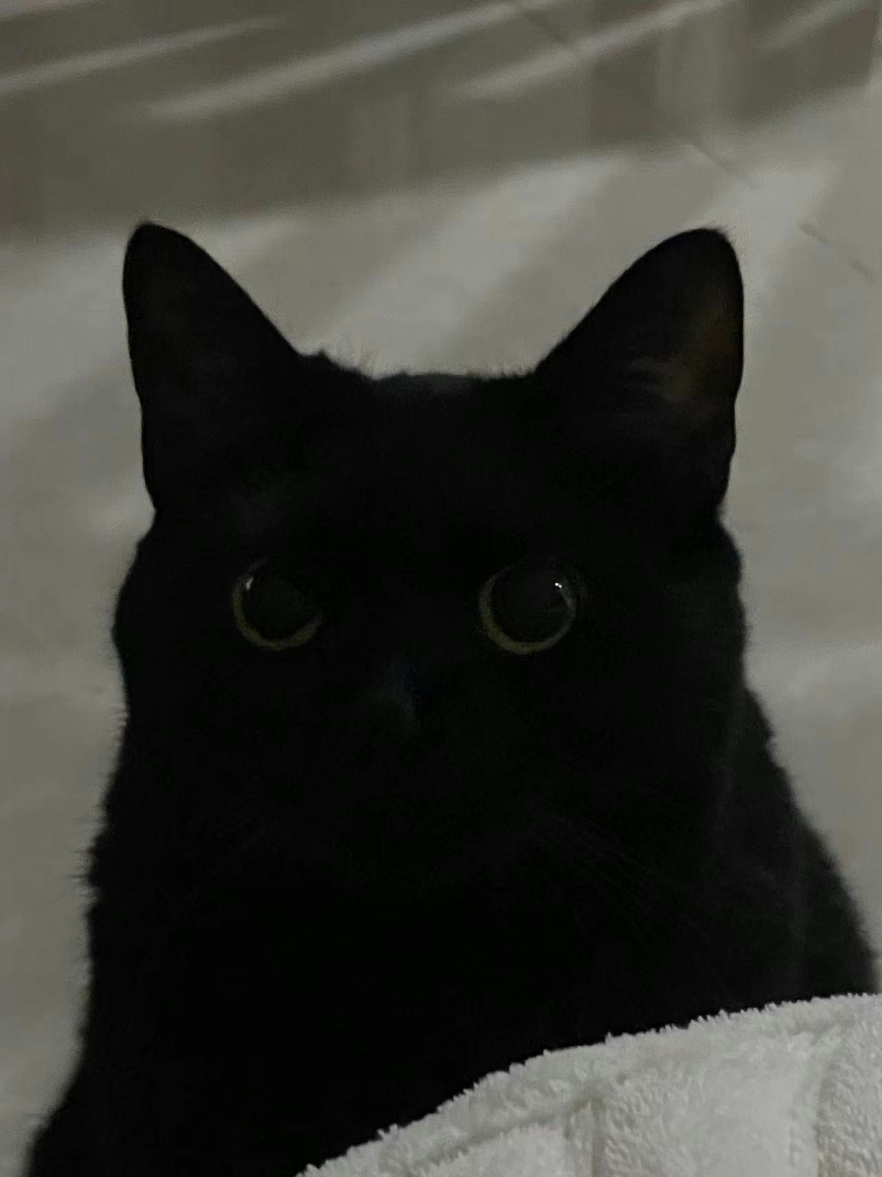 Go to 三山's profile