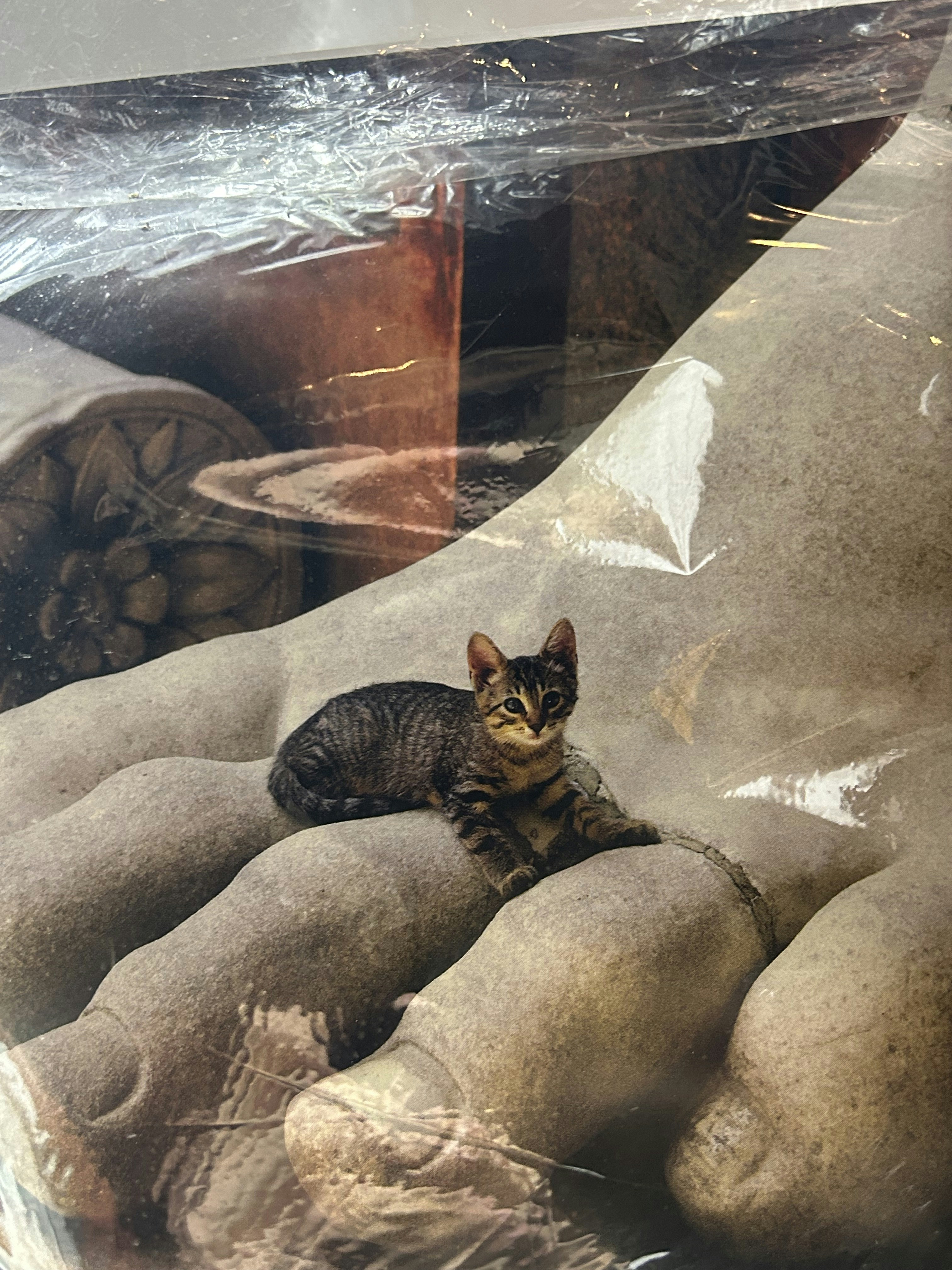 Go to Jakob Gausvik-Tvedt's profile