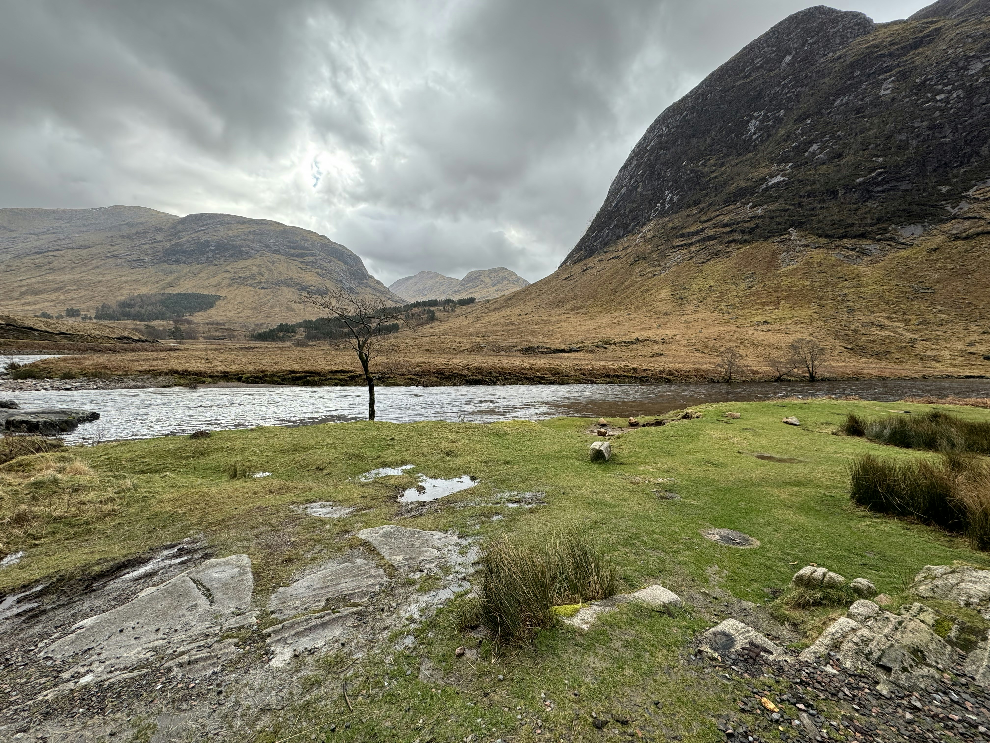 Go to Kinocchio's profile